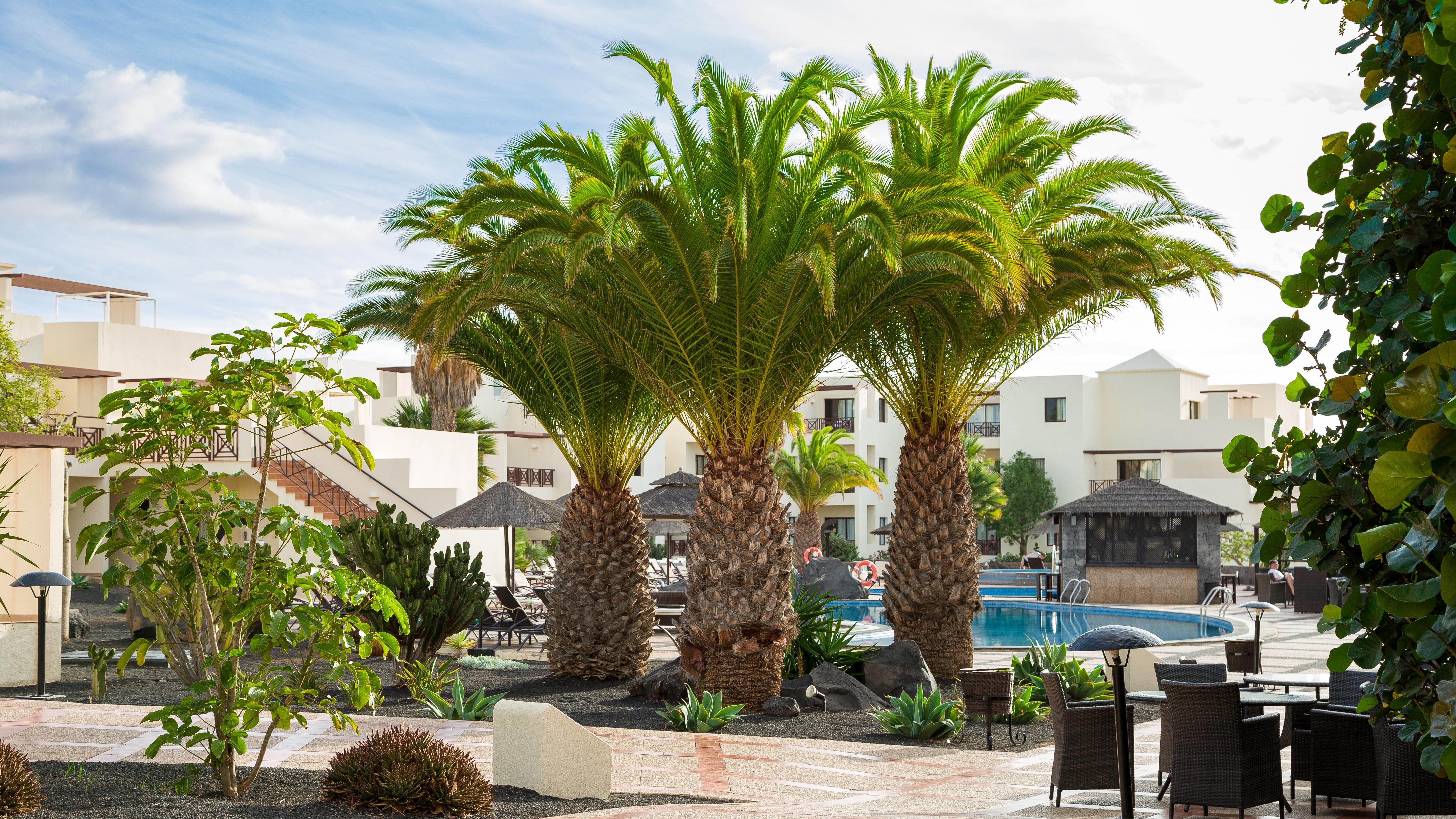 Vitalclass Lanzarote Sport & Wellness Resort
