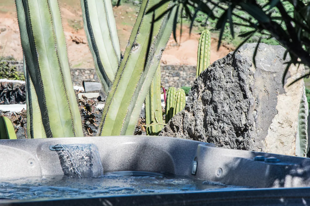 Finca La Picolisima