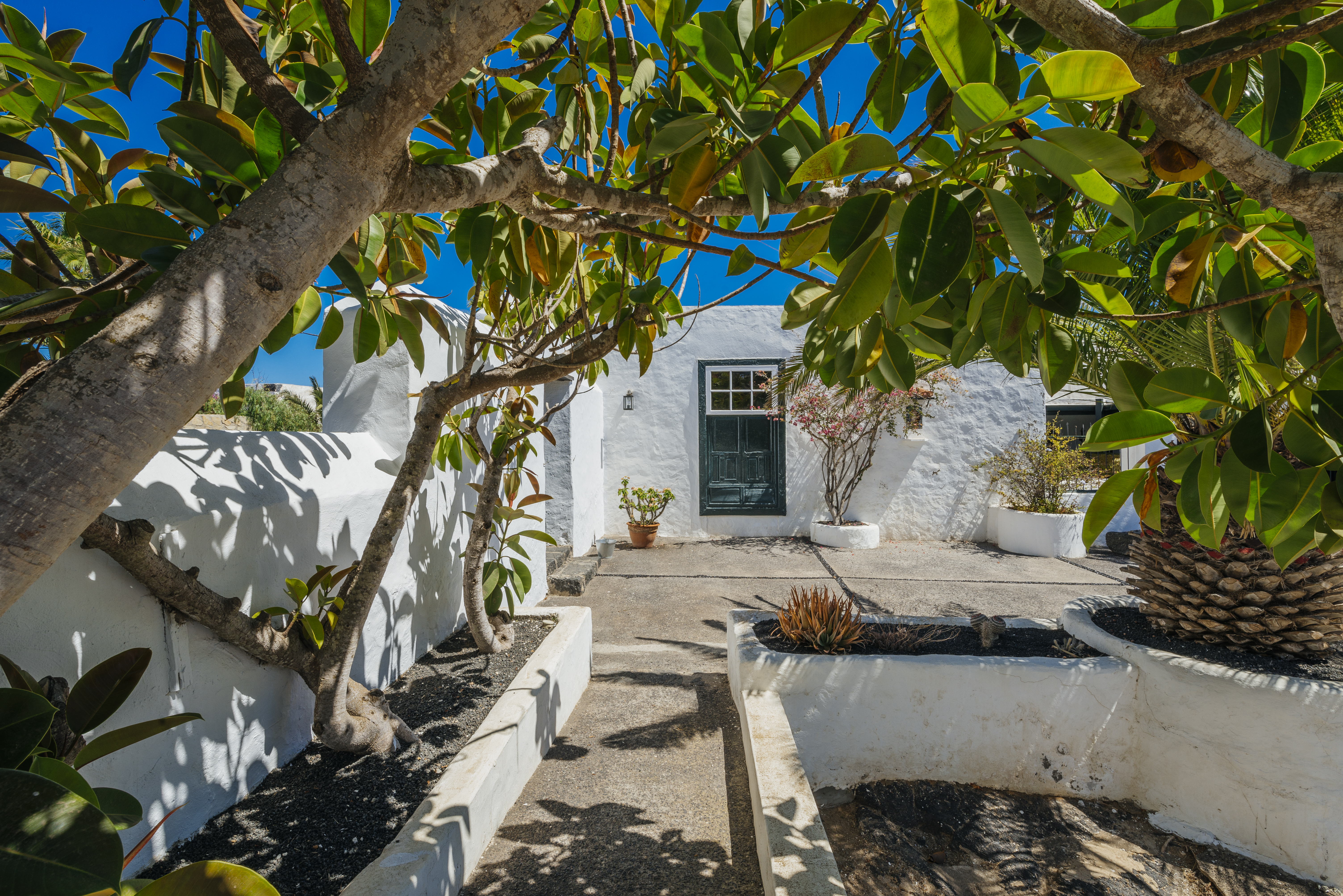 Hotel EL GRIFO