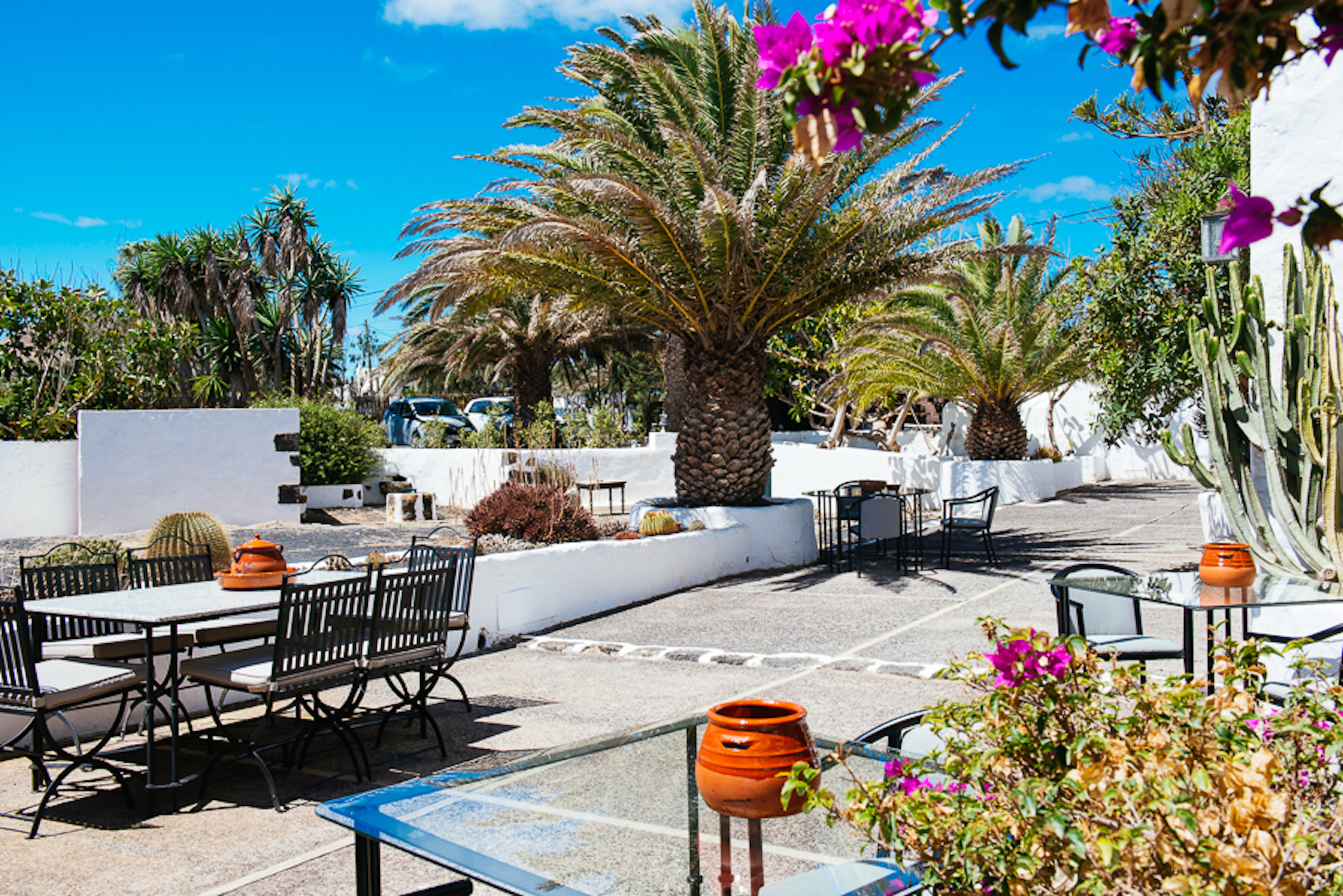 Hotel EL GRIFO