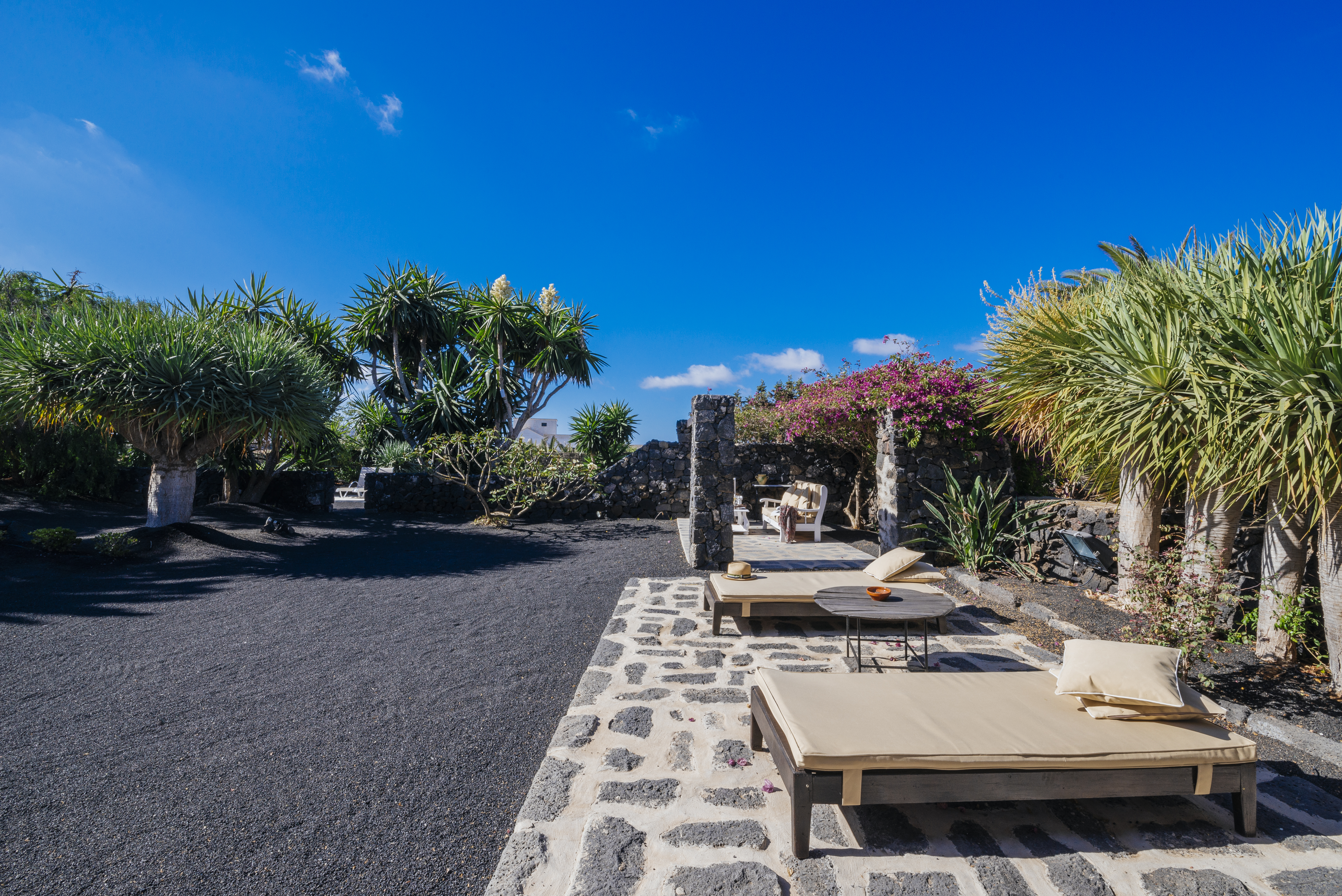 Hotel EL GRIFO