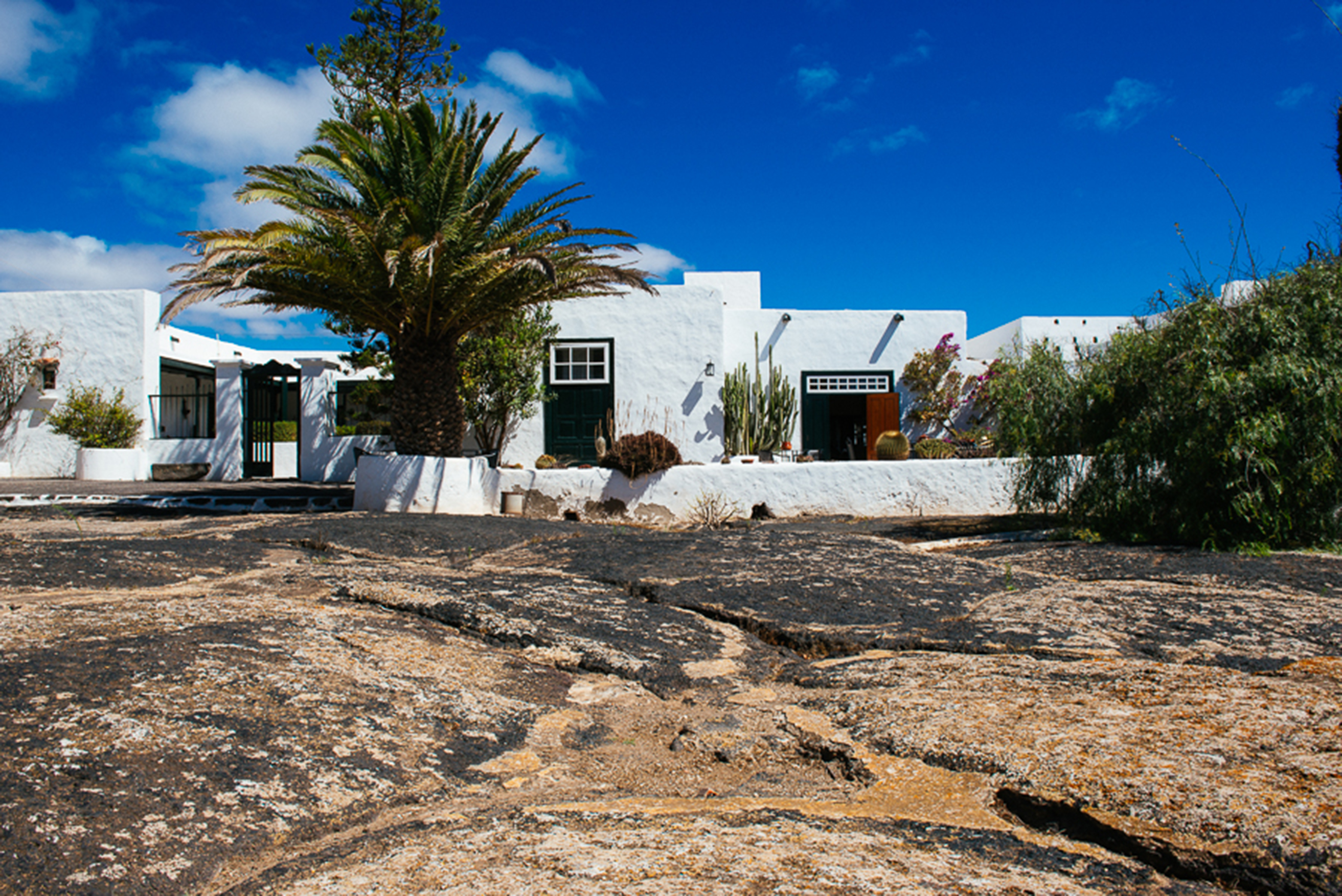 Hotel EL GRIFO