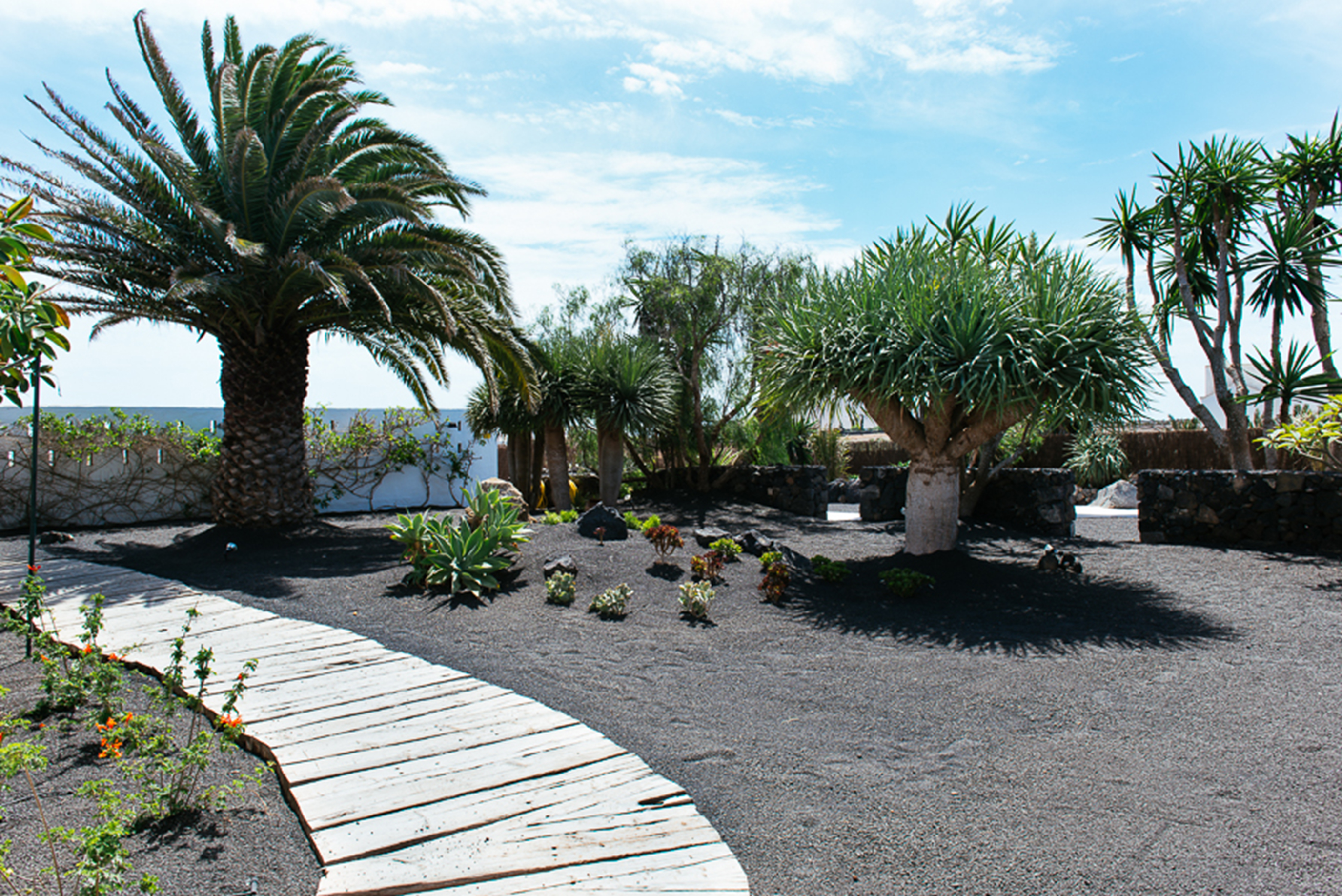 Hotel EL GRIFO