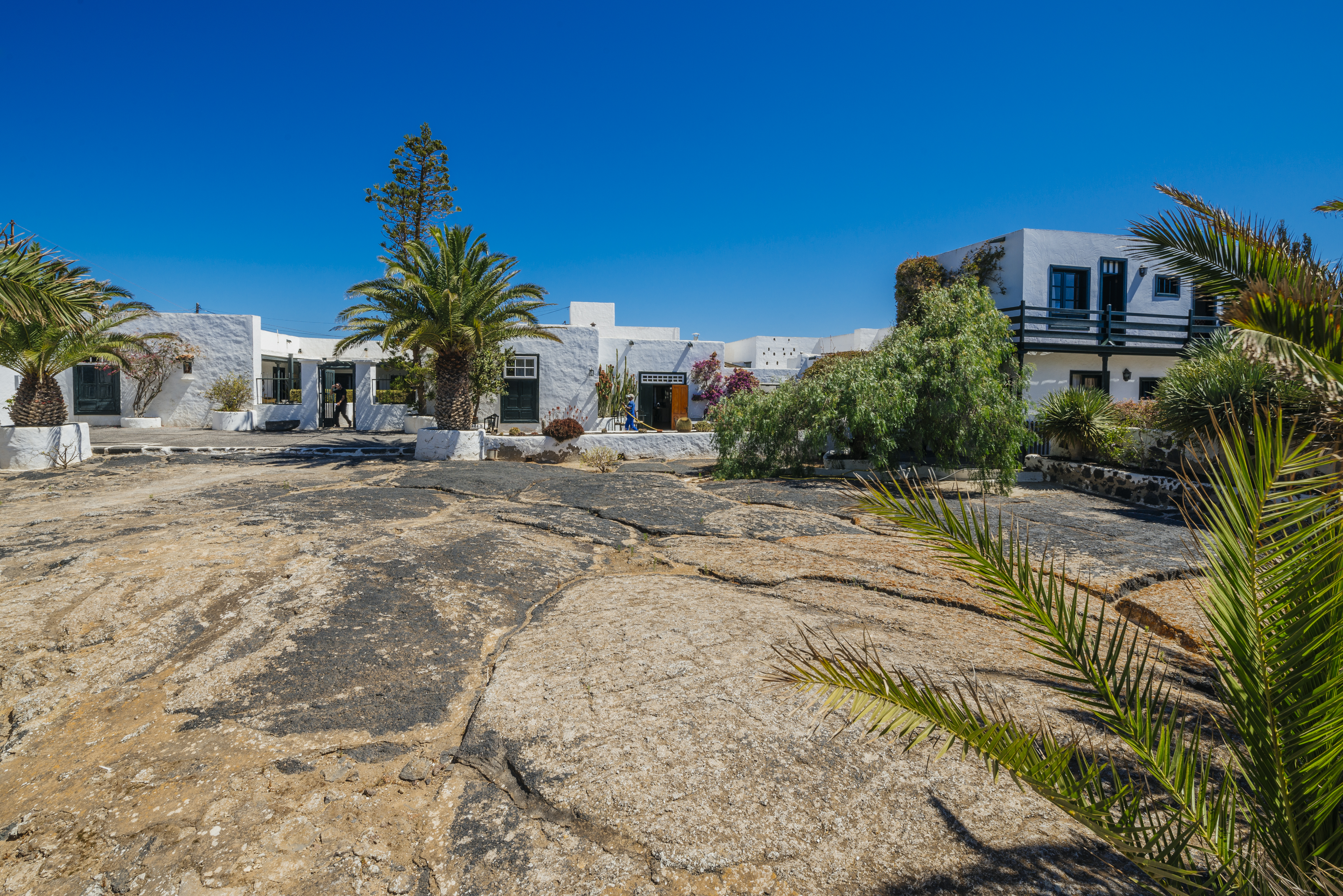Hotel EL GRIFO