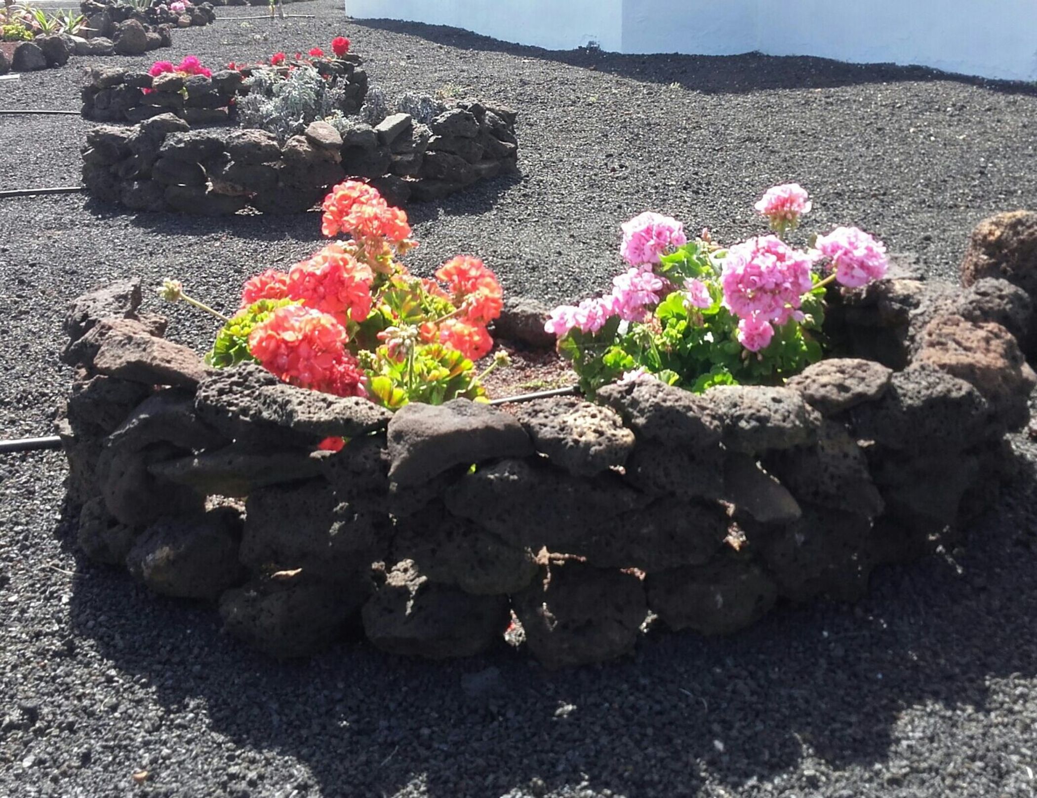 VIK Coral Beach