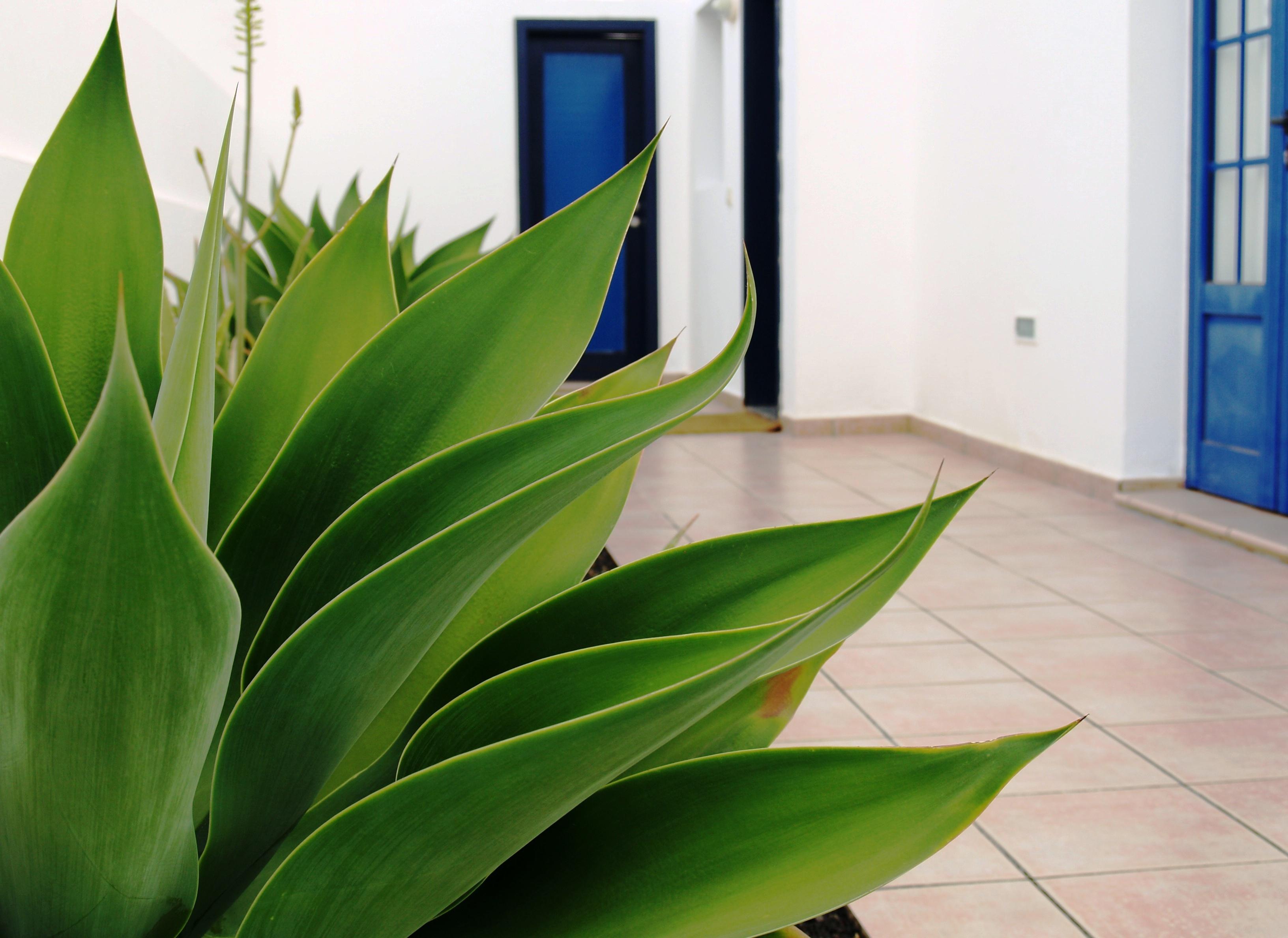 Villas Puerto Rubicón