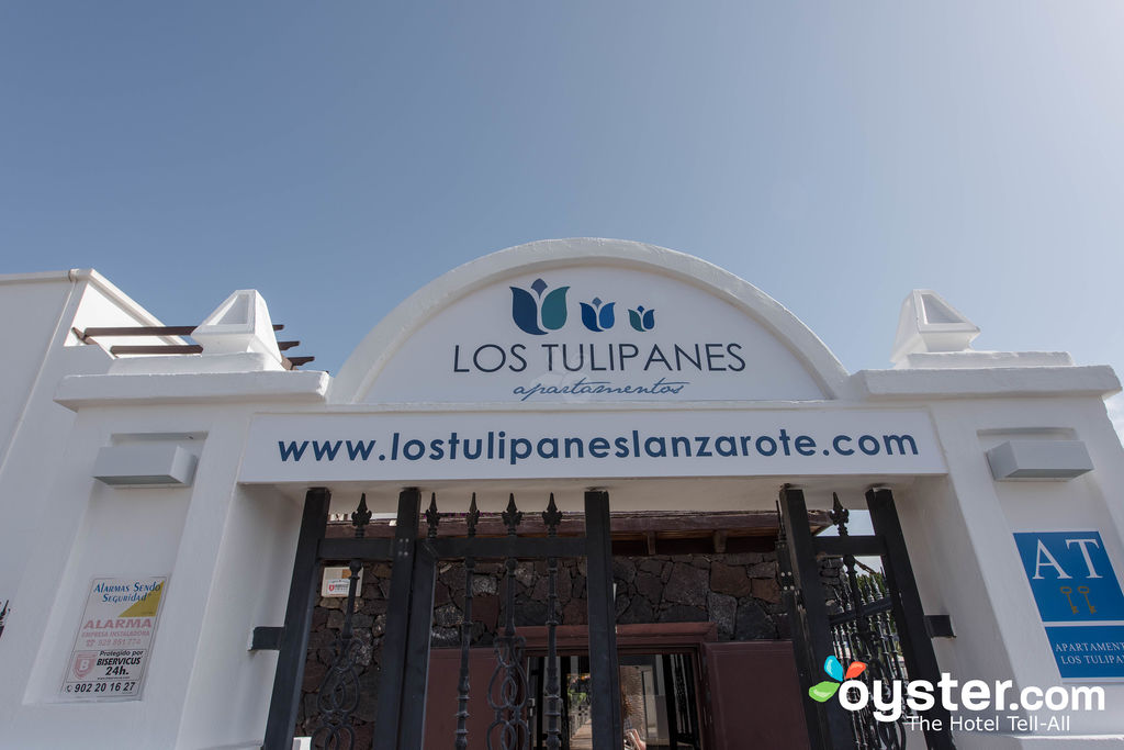 Los Tulipanes