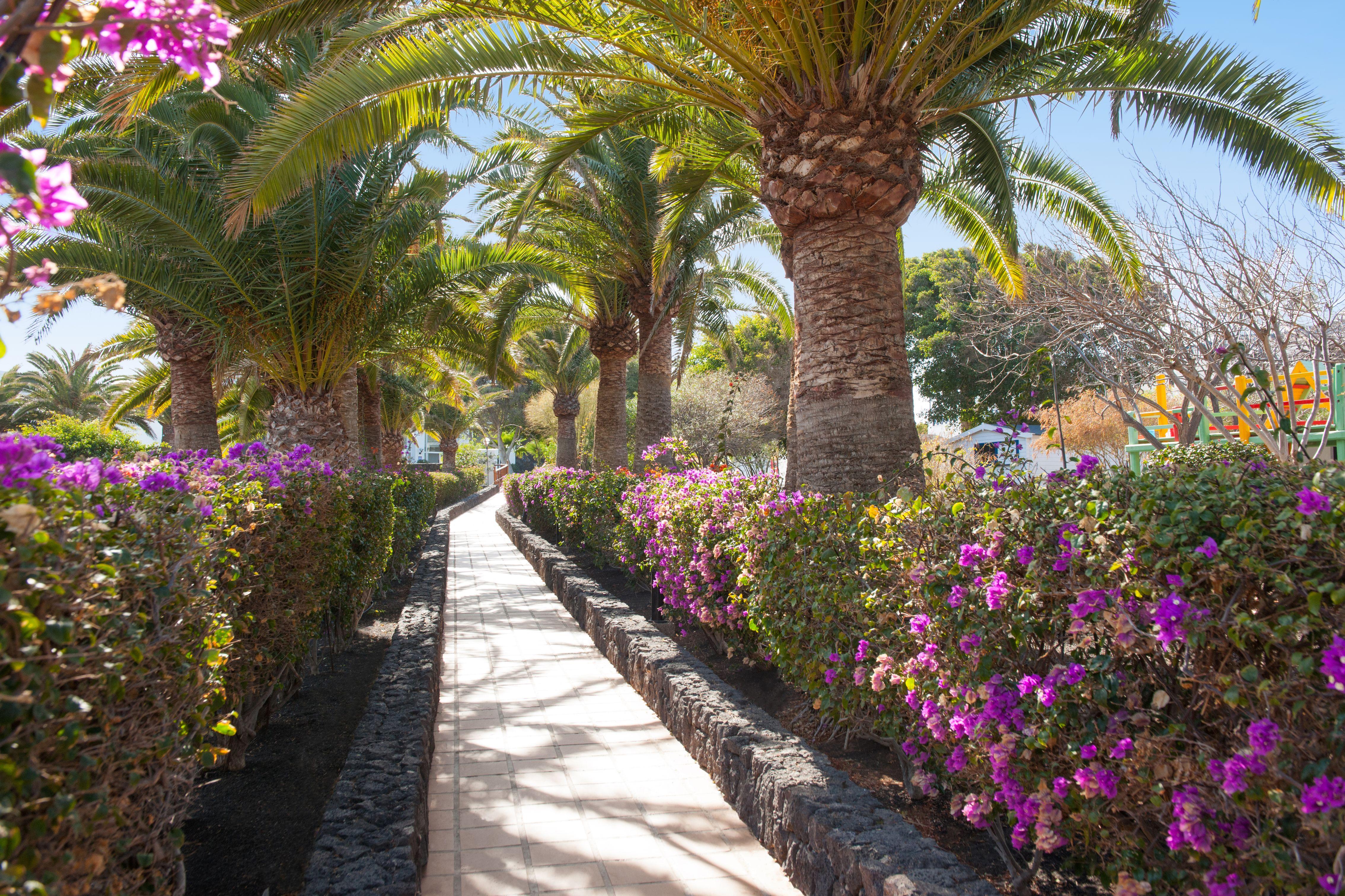 Hotel Relaxia Olivina