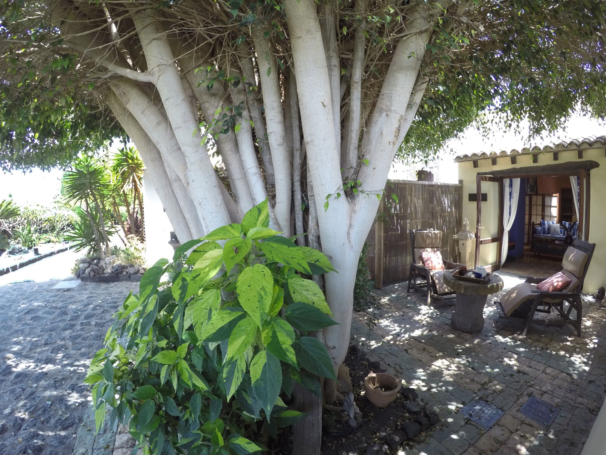 Casa Tomaren
