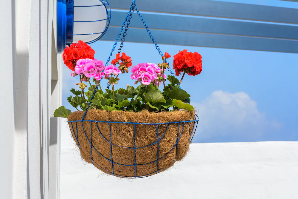 Apartamentos Beach Caleta
