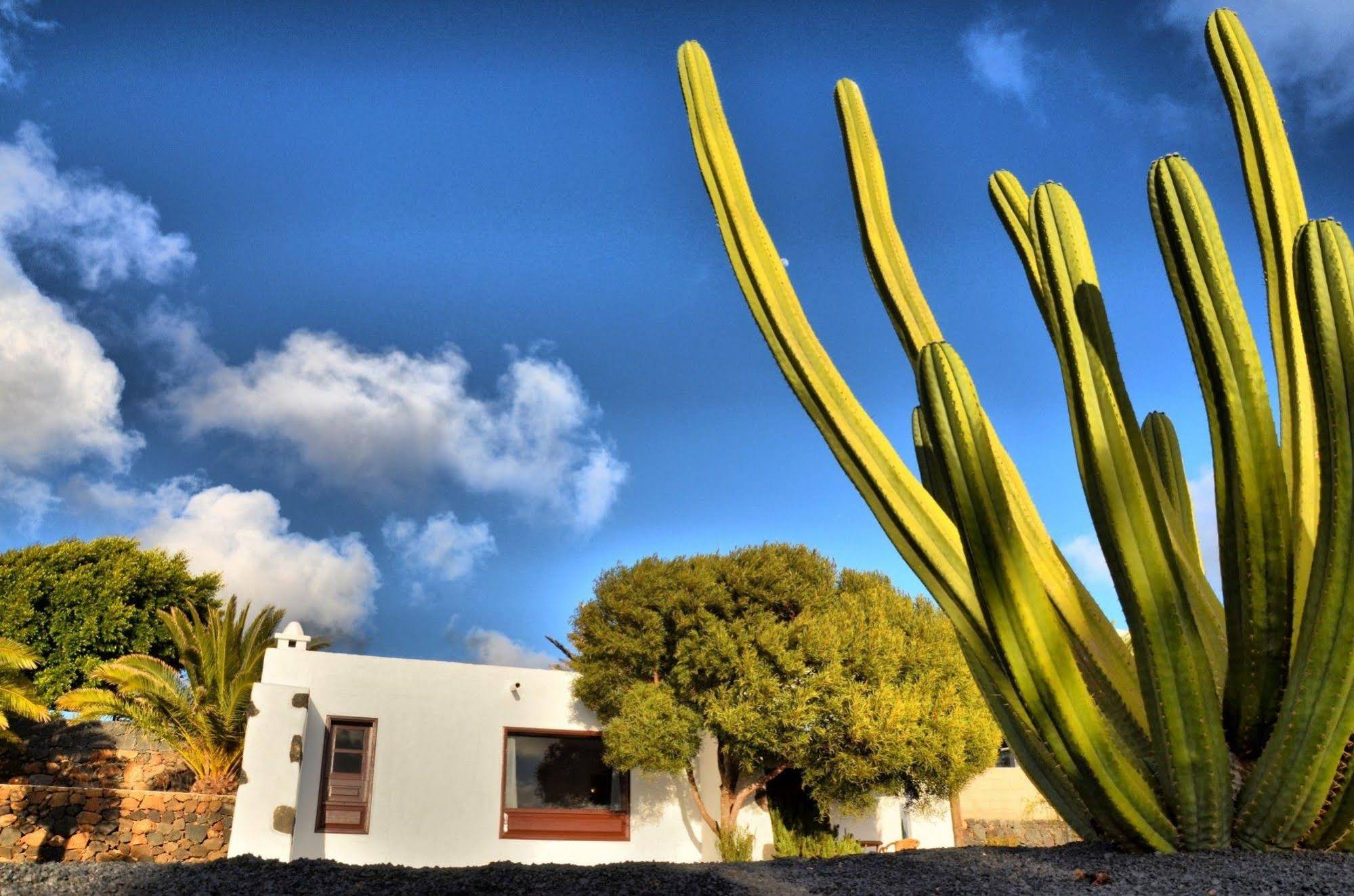 Casa Los Divisos