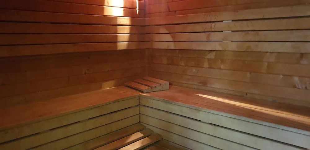 Apartamentos Temisa