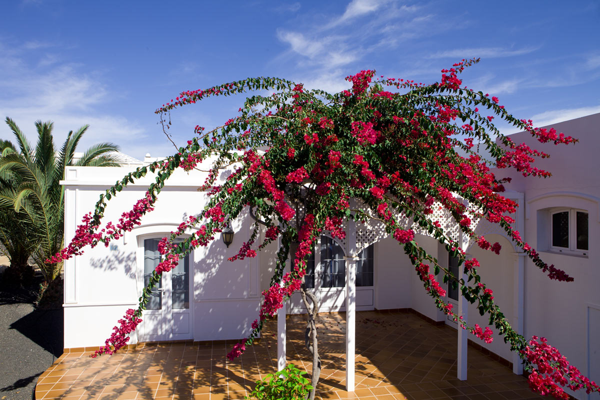 Villas Coloradamar