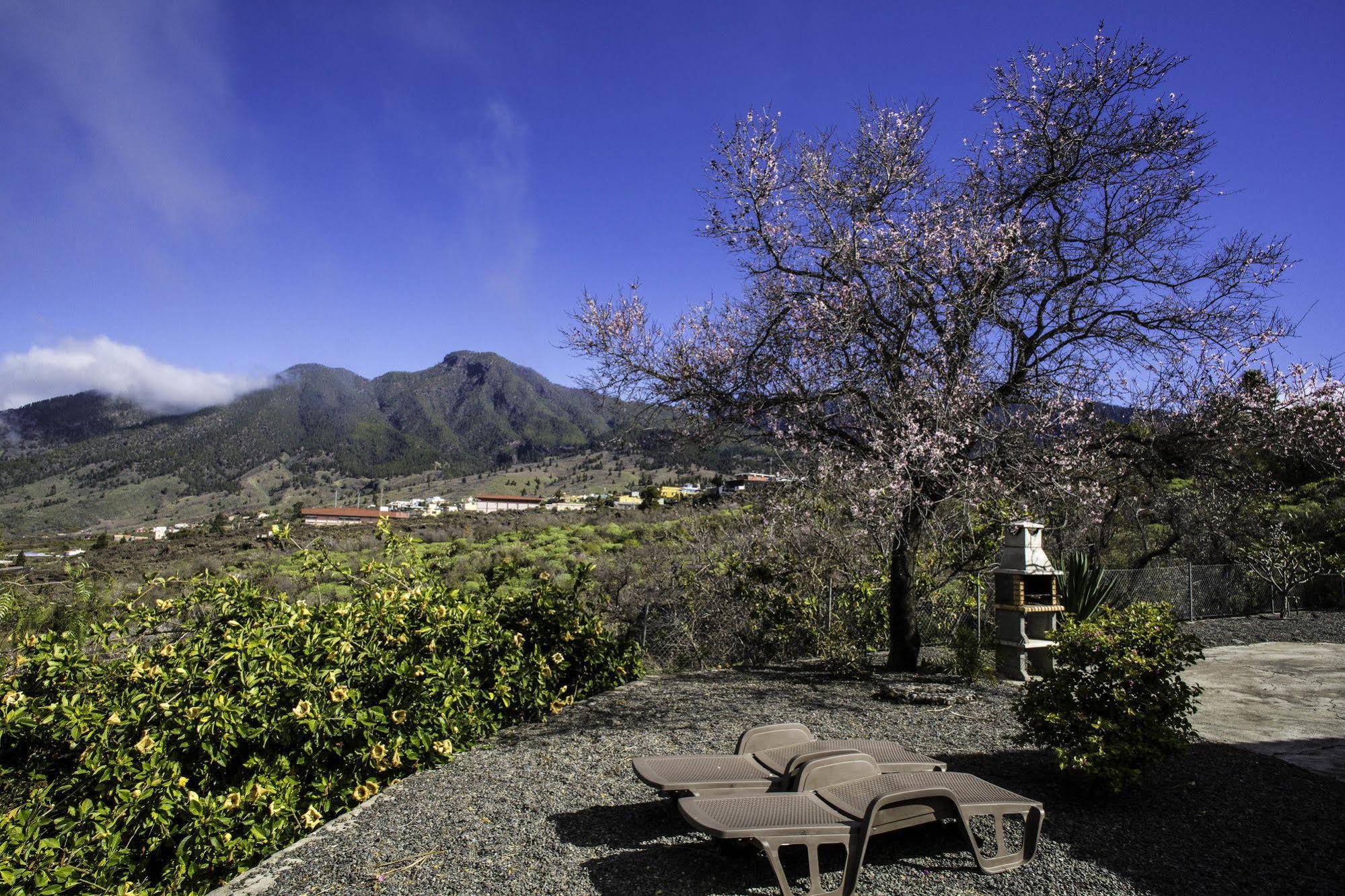 Bungalows Los Guanches
