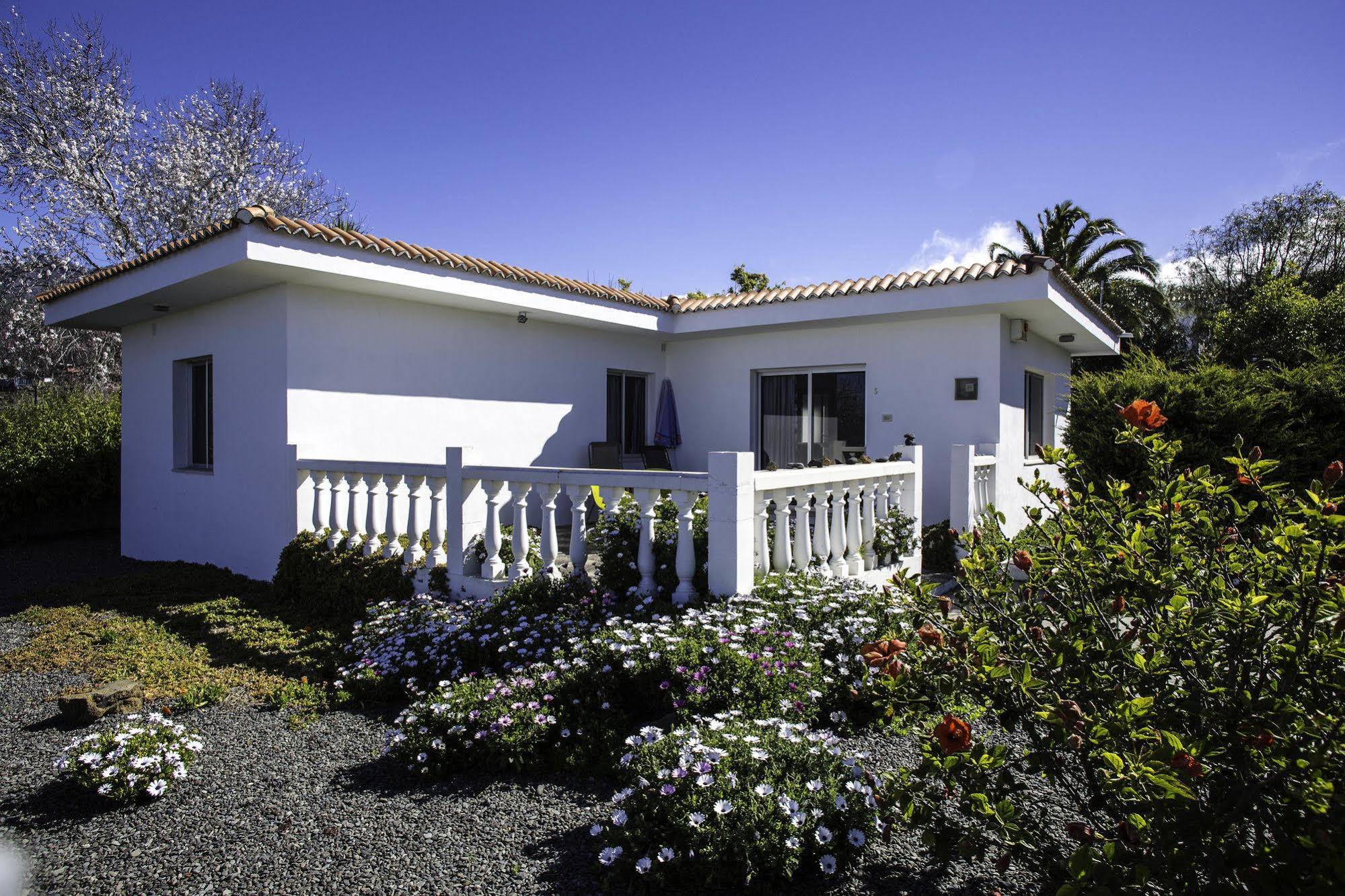 Bungalows Los Guanches