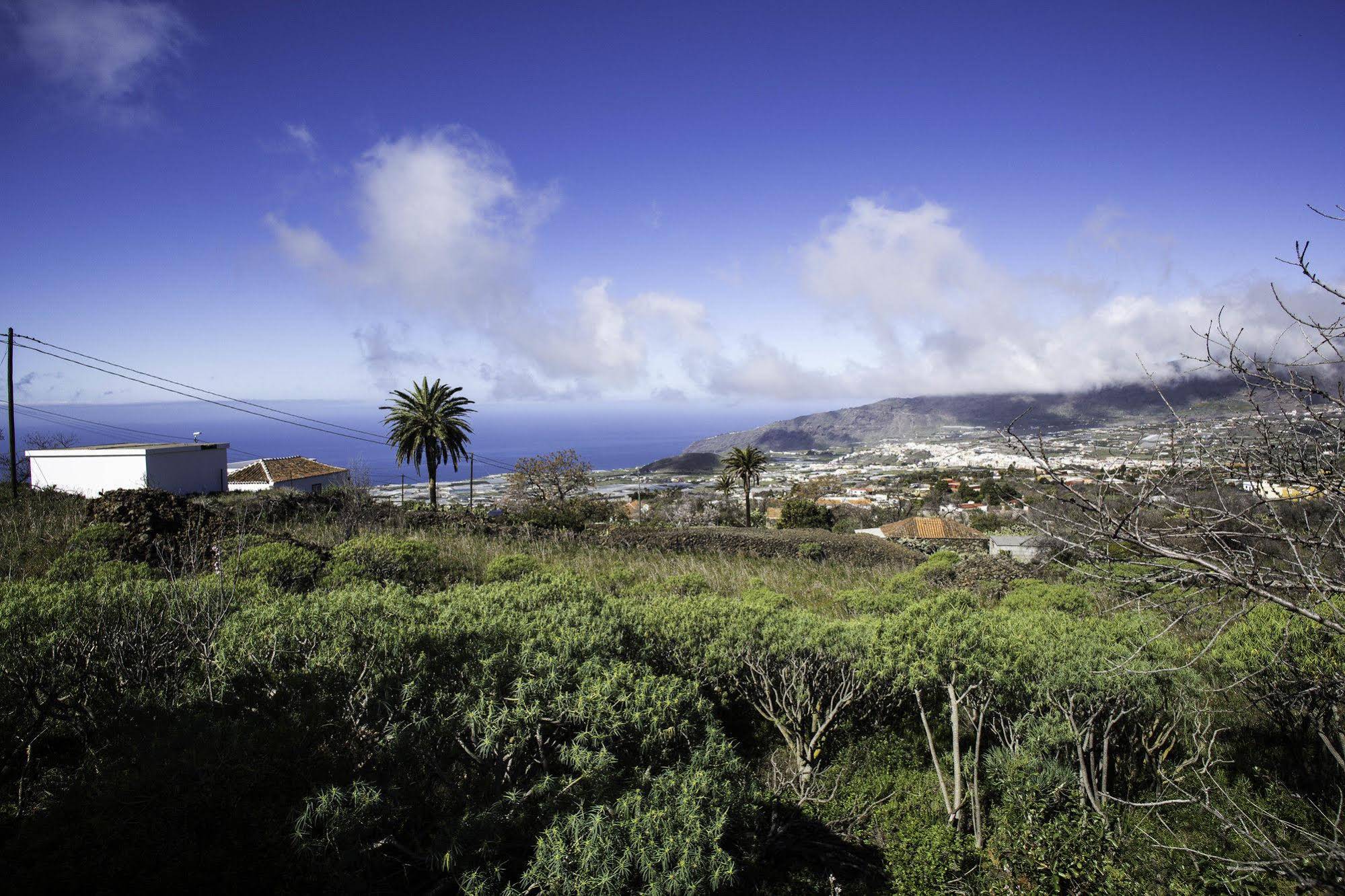 Bungalows Los Guanches