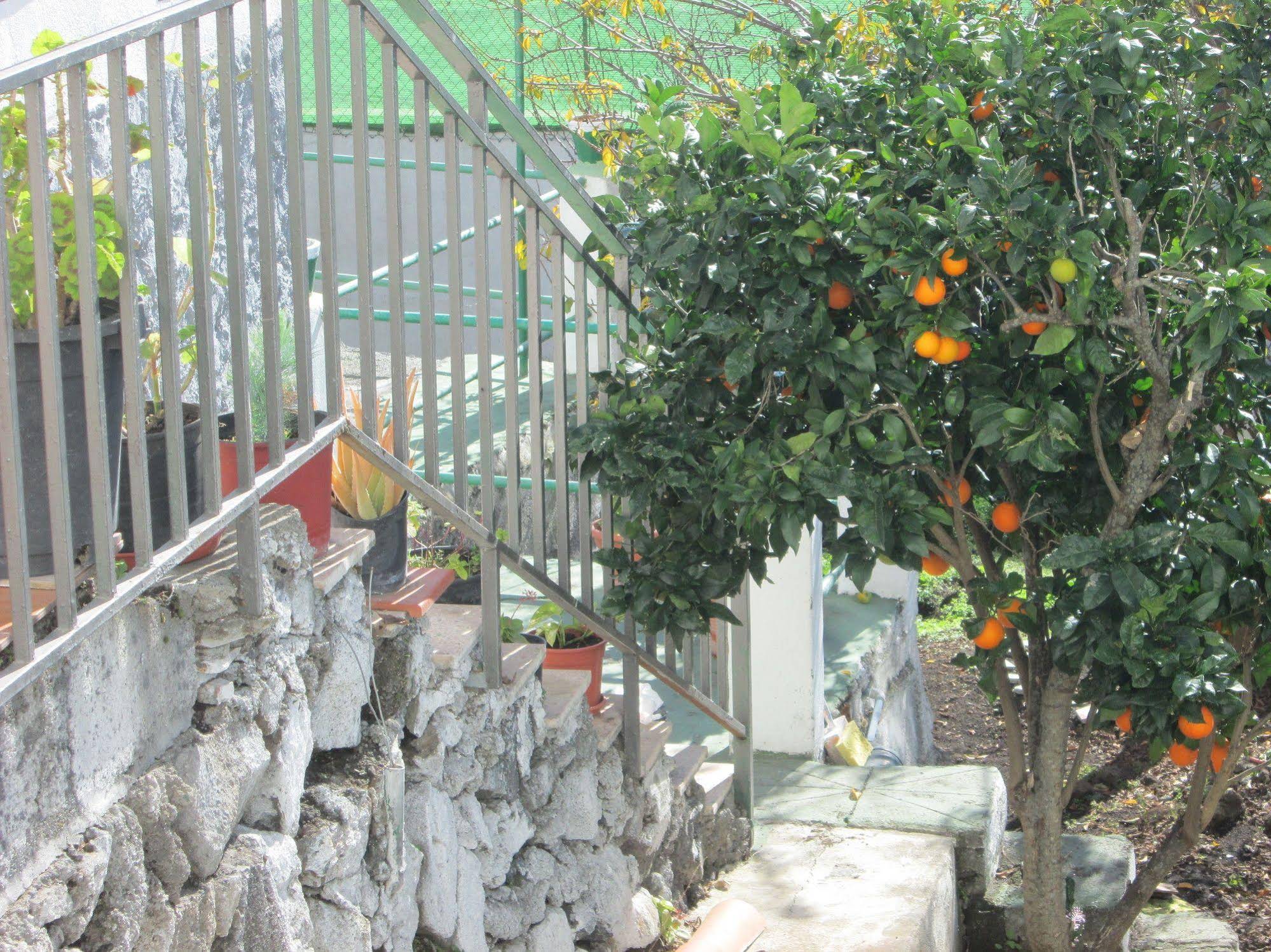 La Palma Hostel Pension Central