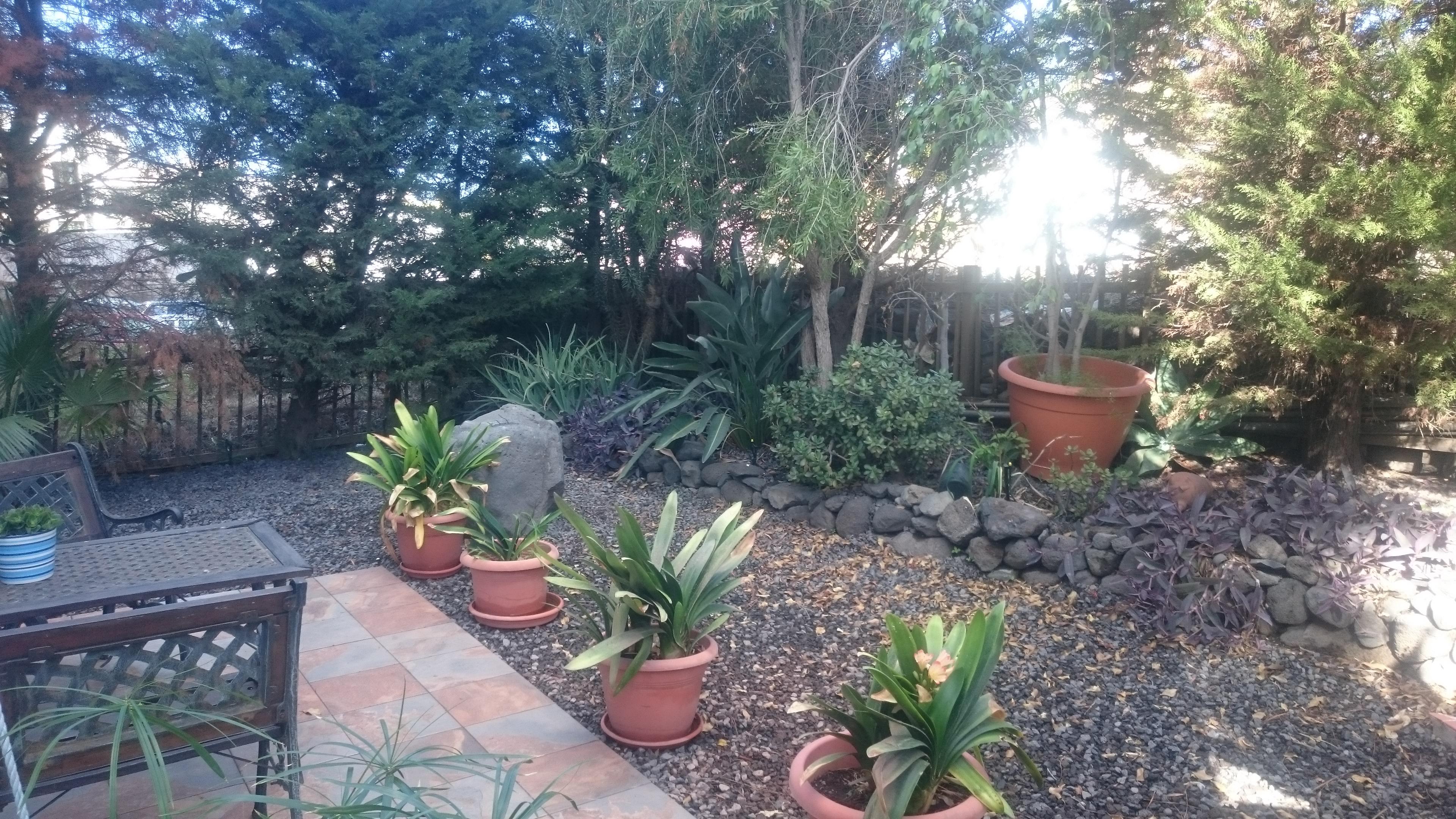 El Patio