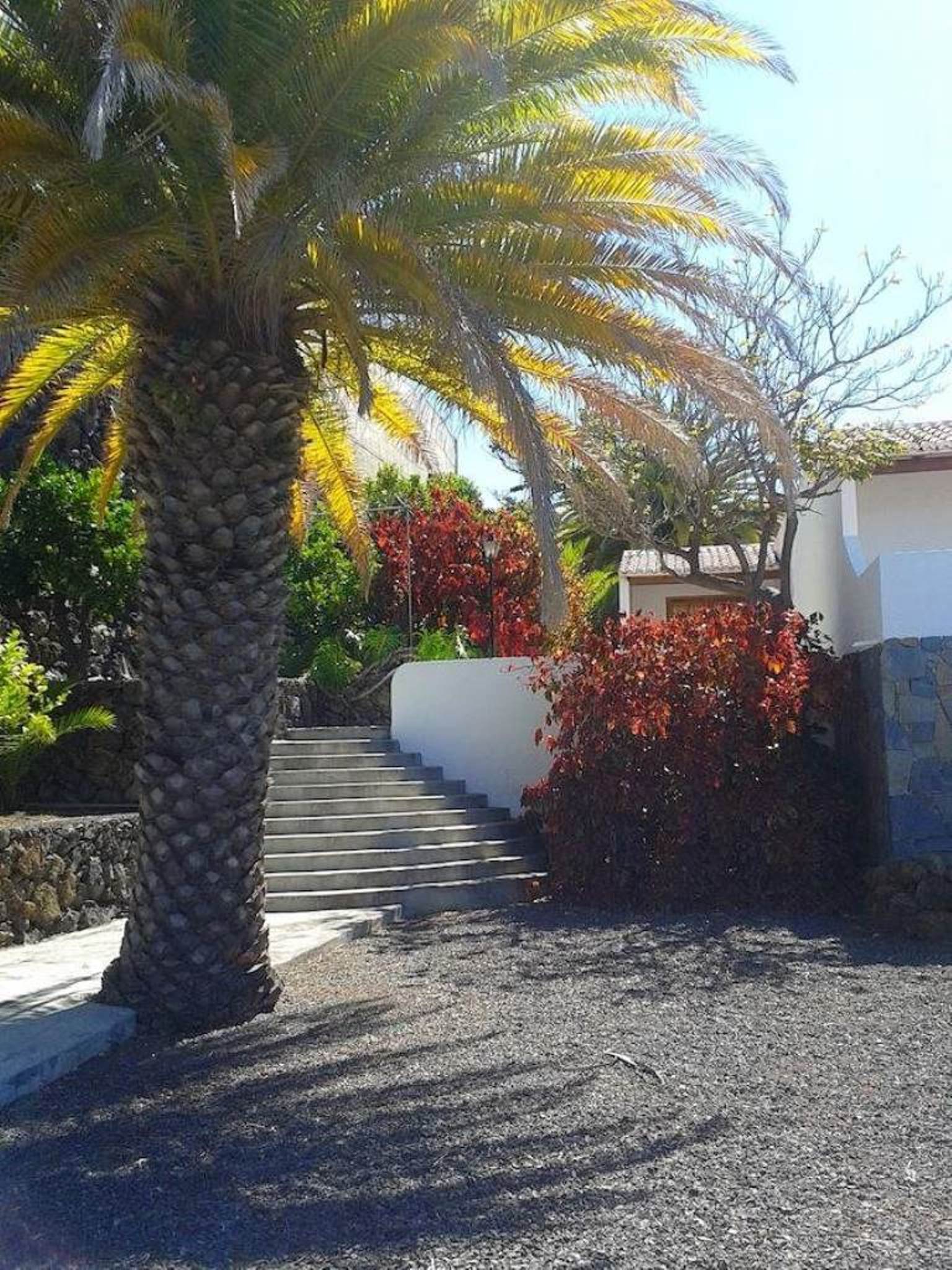 La Palma Sun Nudist