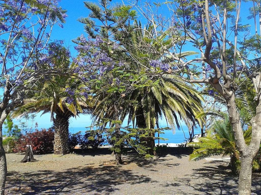 La Palma Sun Nudist