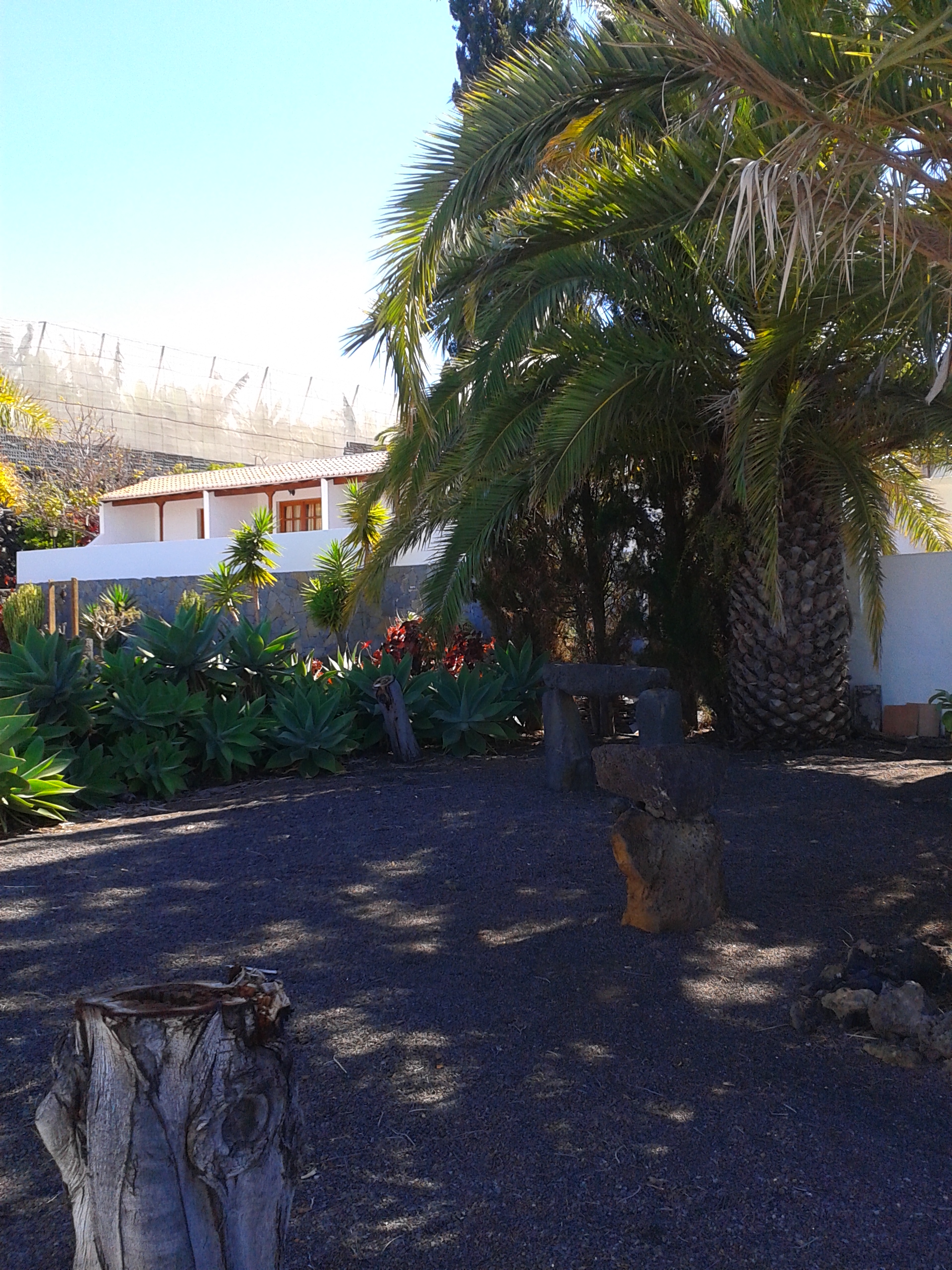La Palma Sun Nudist