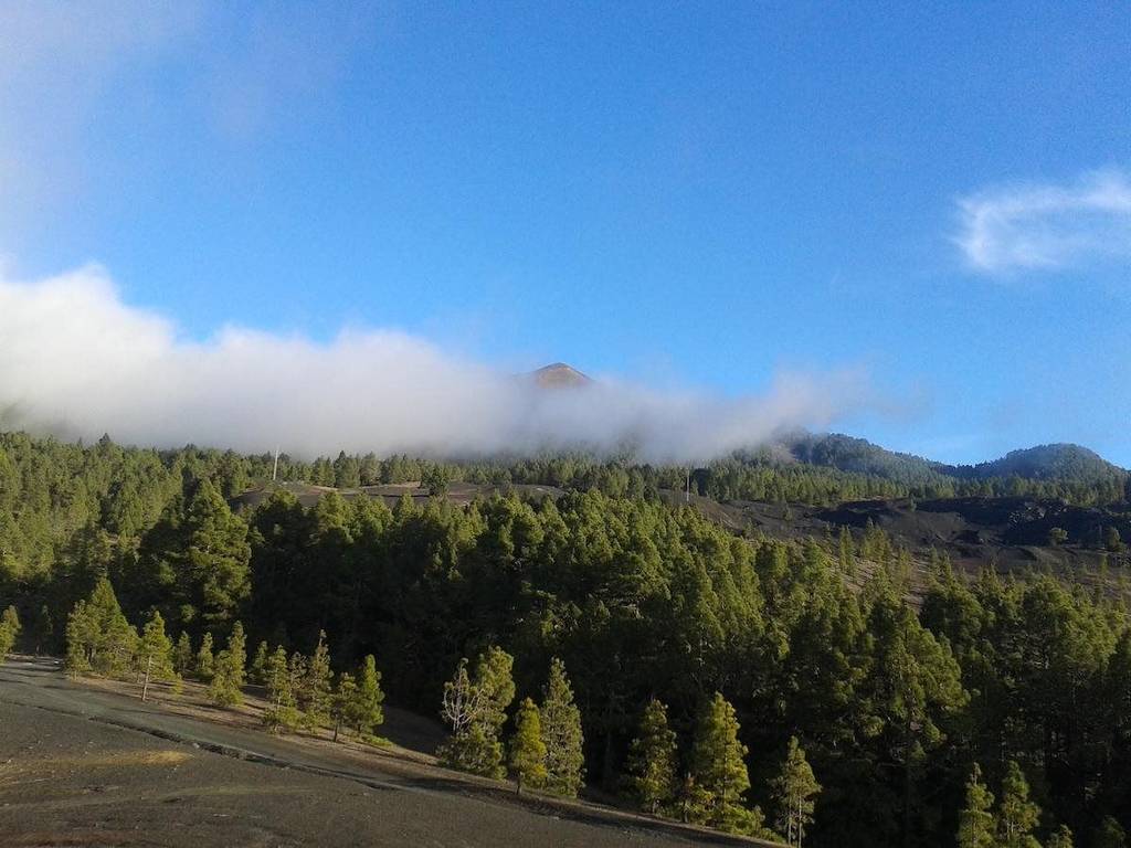 La Palma Sun Nudist