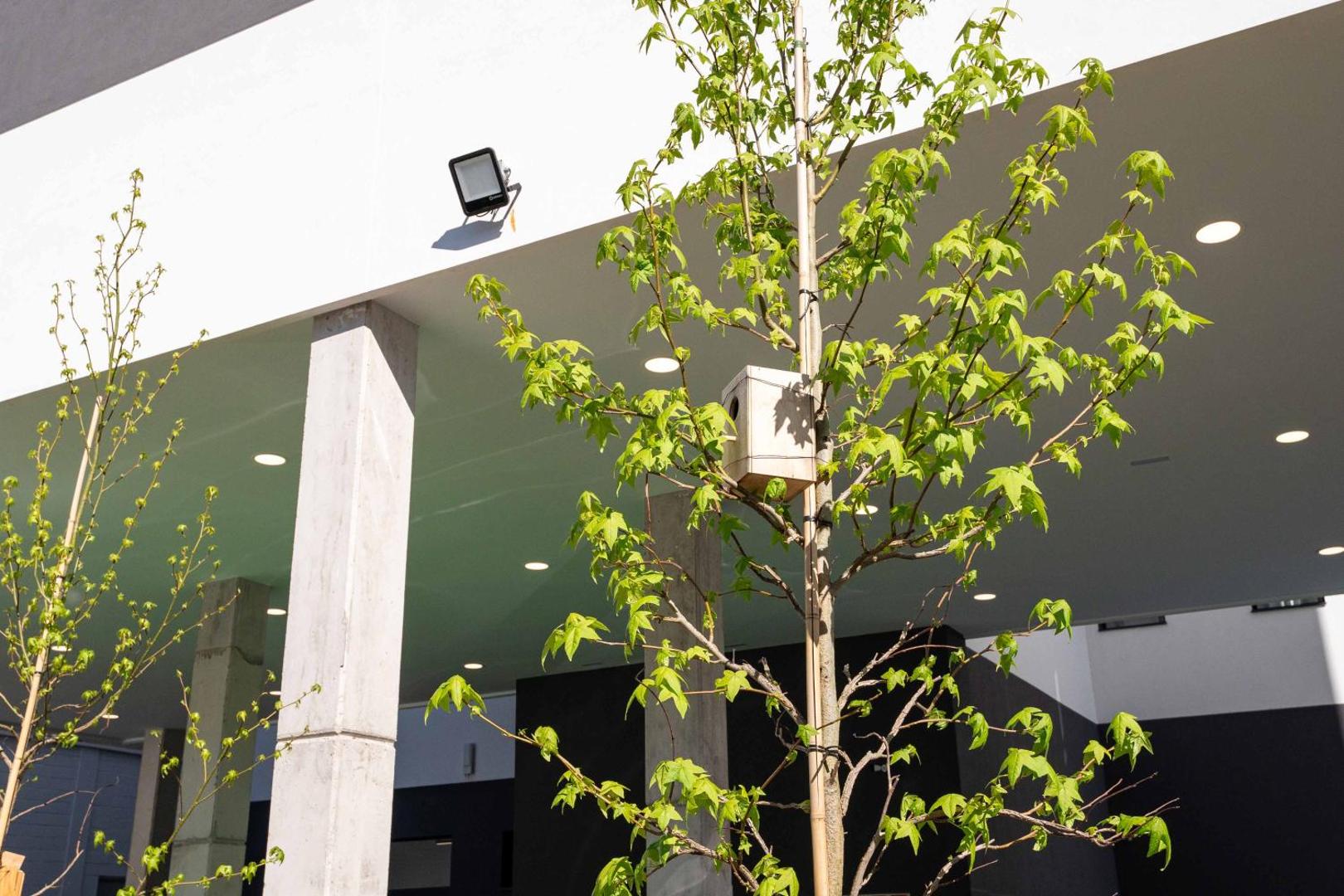 Easyhotel Madrid Alcala