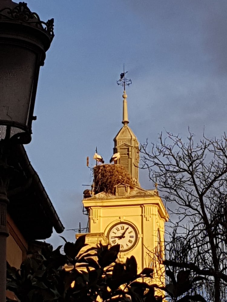 El Sueno Del Quijote