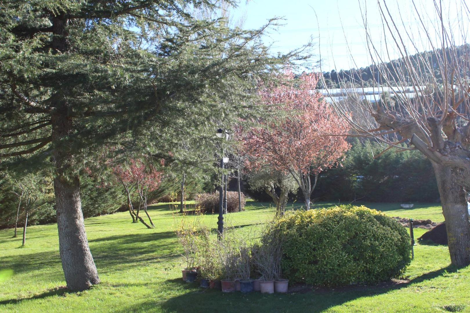 Hotel Restaurante Sierra Oriente