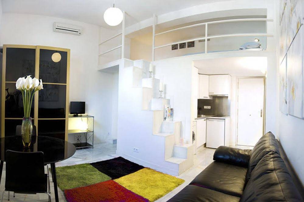Apartamentos Puerta del Sol-Lofts Calle Ribera de Curtidores