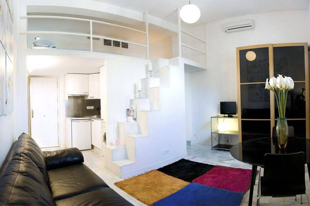 Apartamentos Puerta del Sol-Lofts Calle Ribera de Curtidores