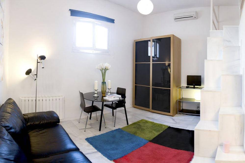 Apartamentos Puerta del Sol-Lofts Calle Ribera de Curtidores