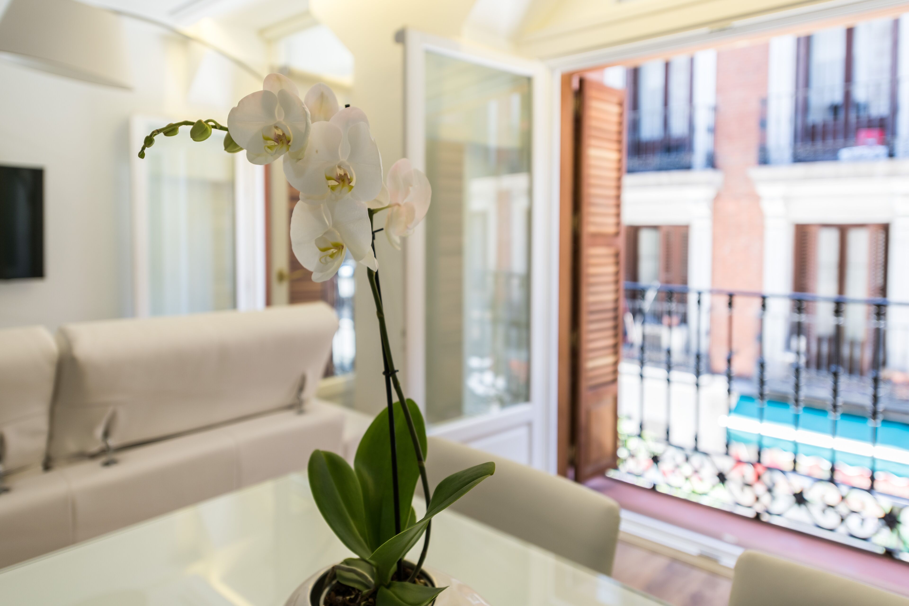 Atocha Corner - Barrio de las Letras