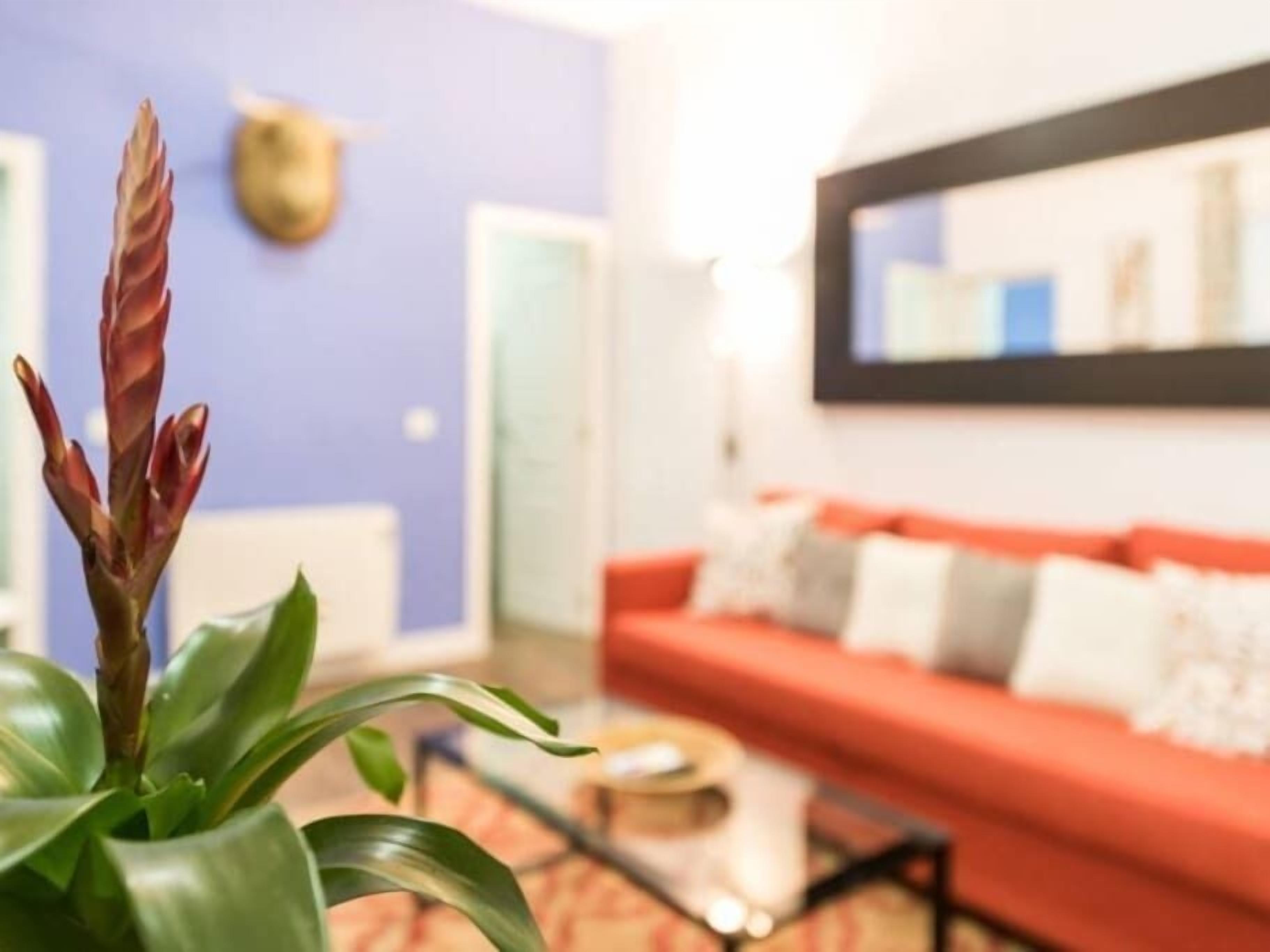Cozy Apartment Plaza Mayor