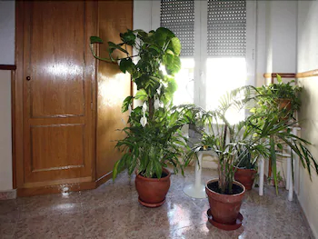 Hostal Sardinero