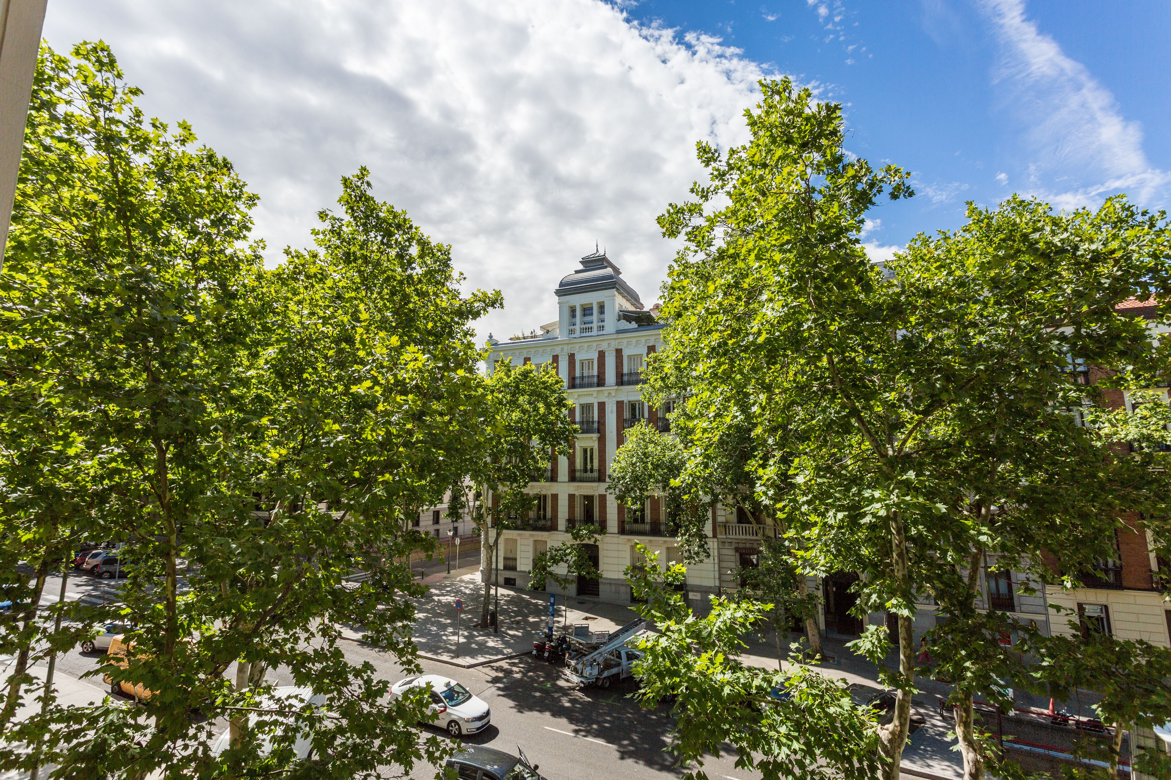 Petit Palace Lealtad