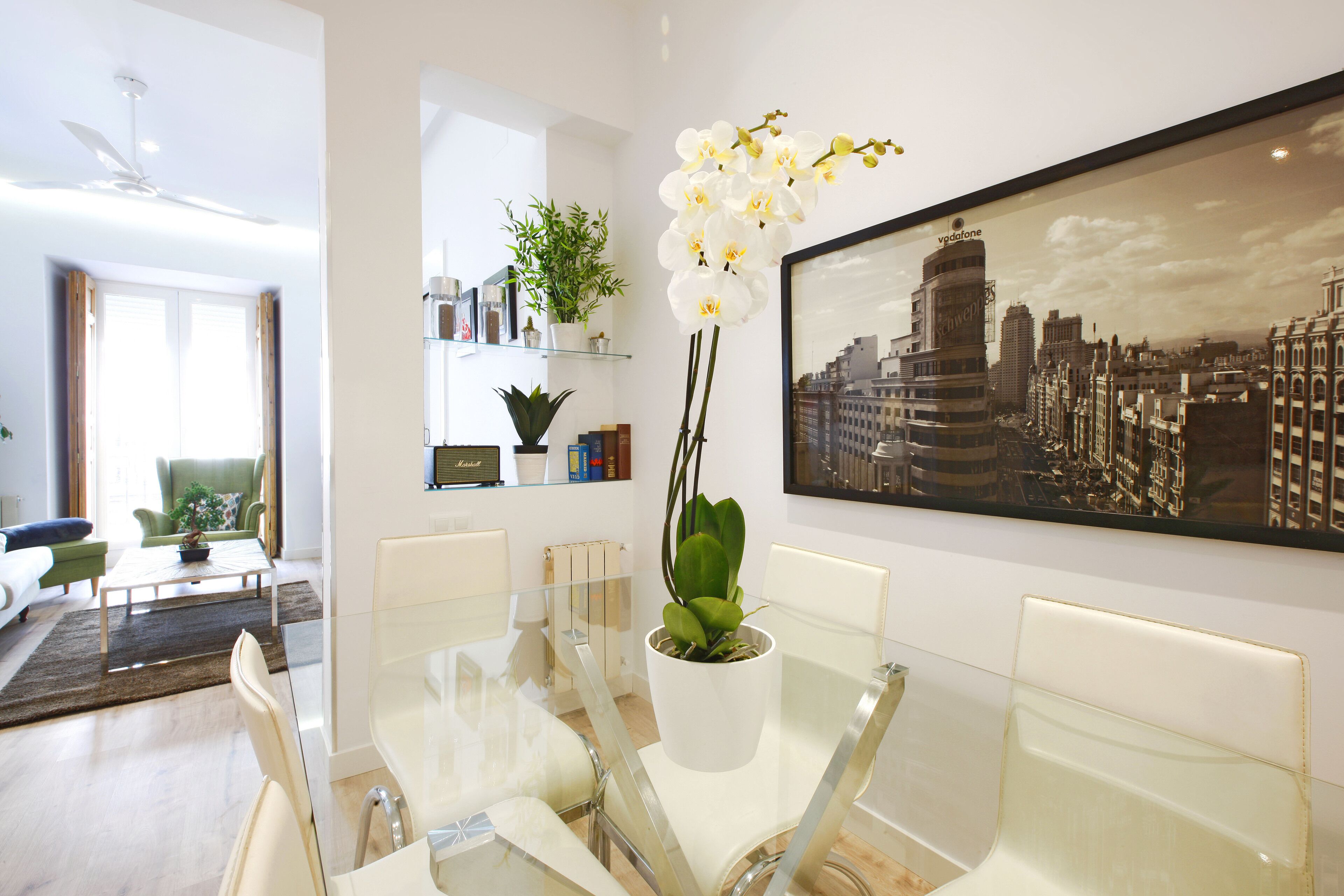 Reina Sofía Boutique by Madflats Collection