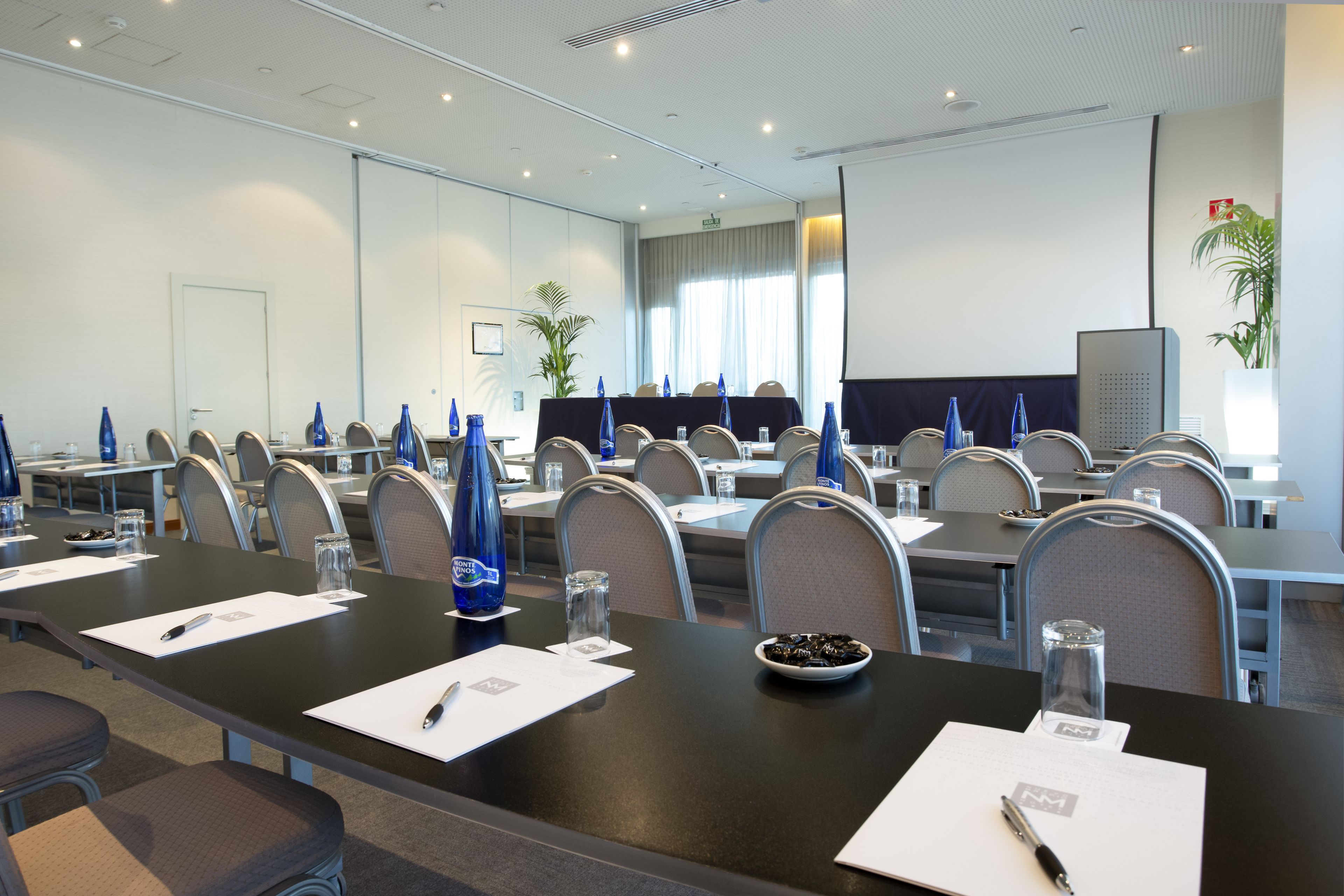 Sercotel Hotel Nuevo Madrid