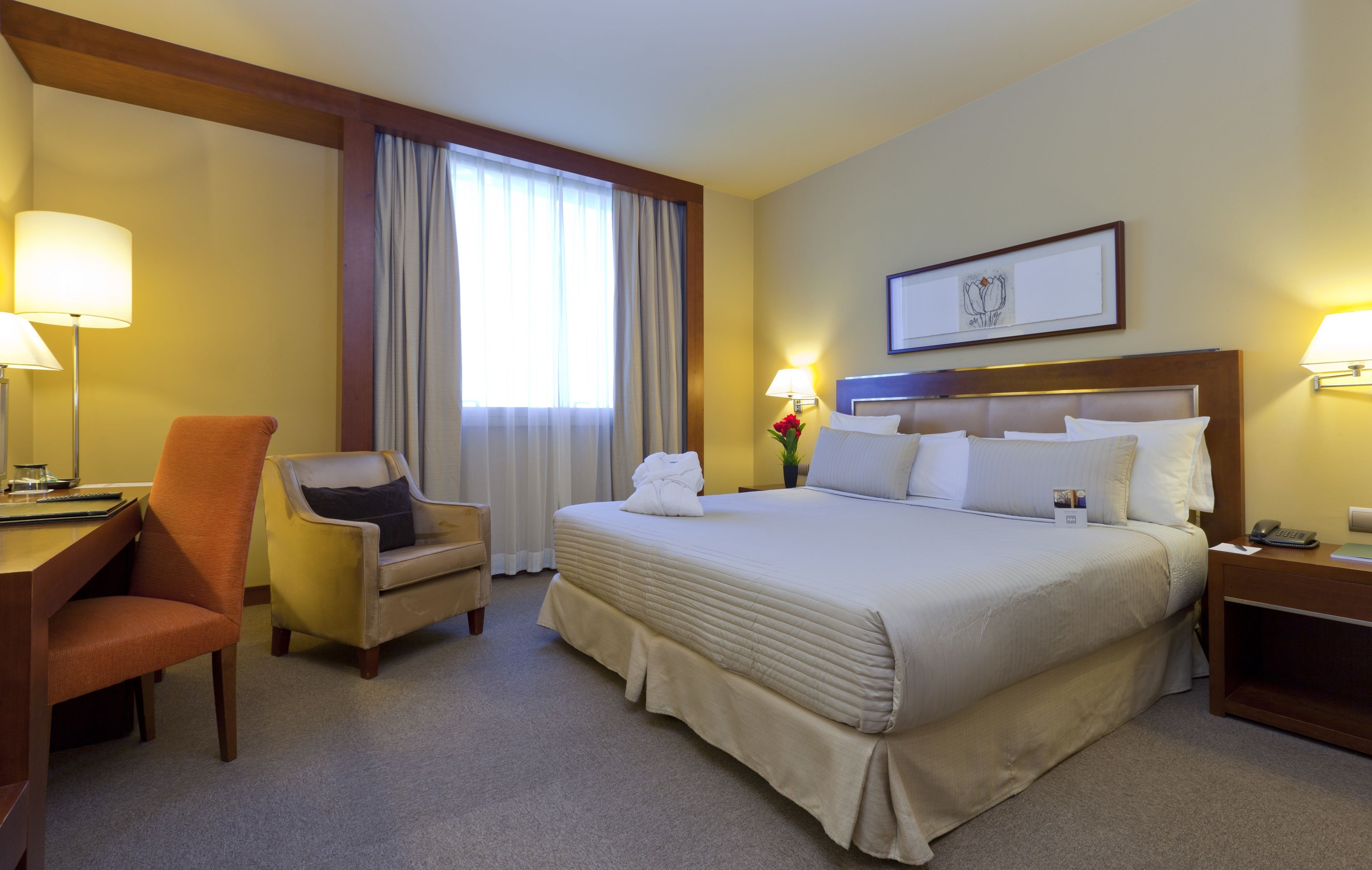 Sercotel Hotel Nuevo Madrid