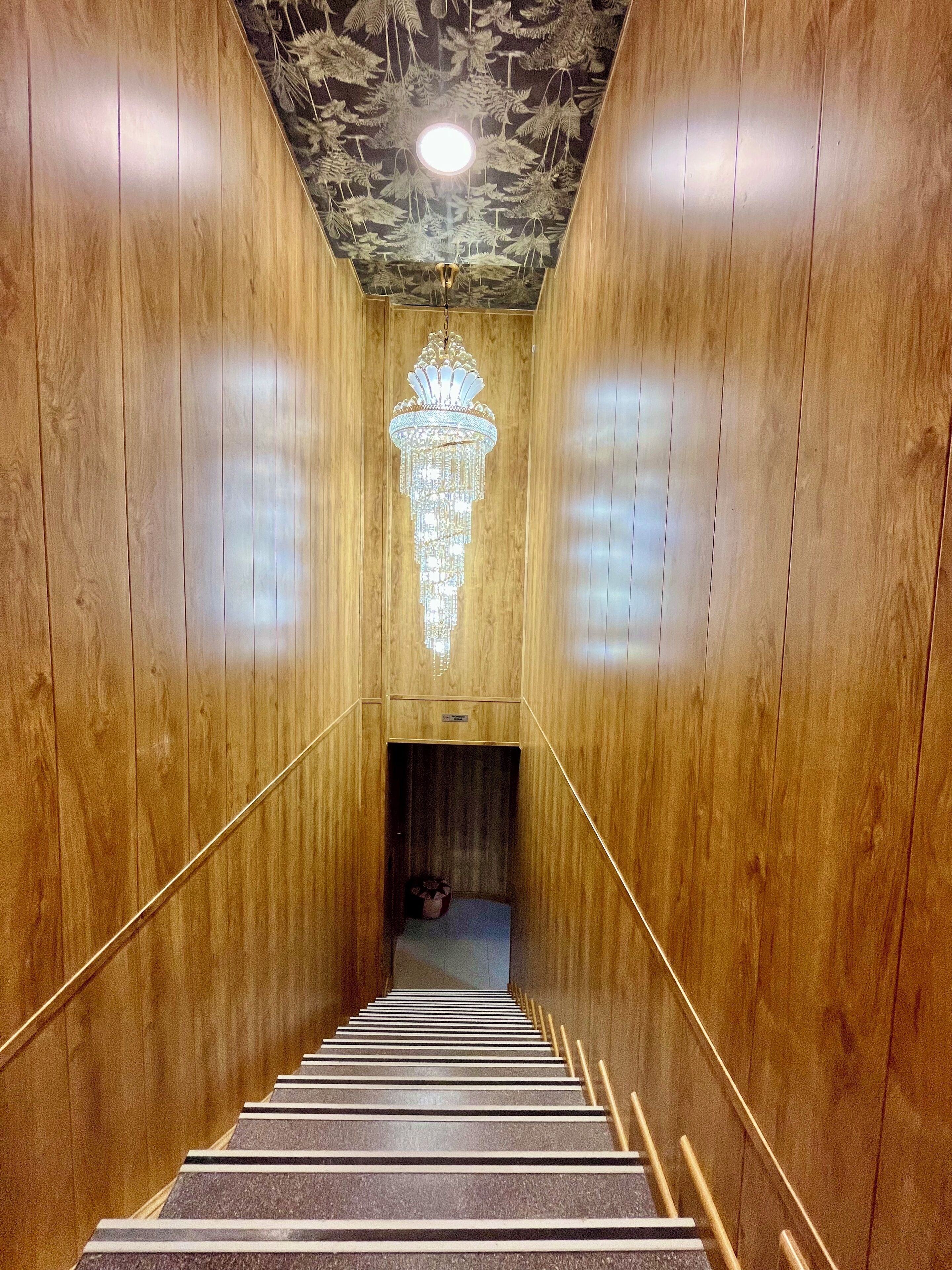 Velvet Hostels