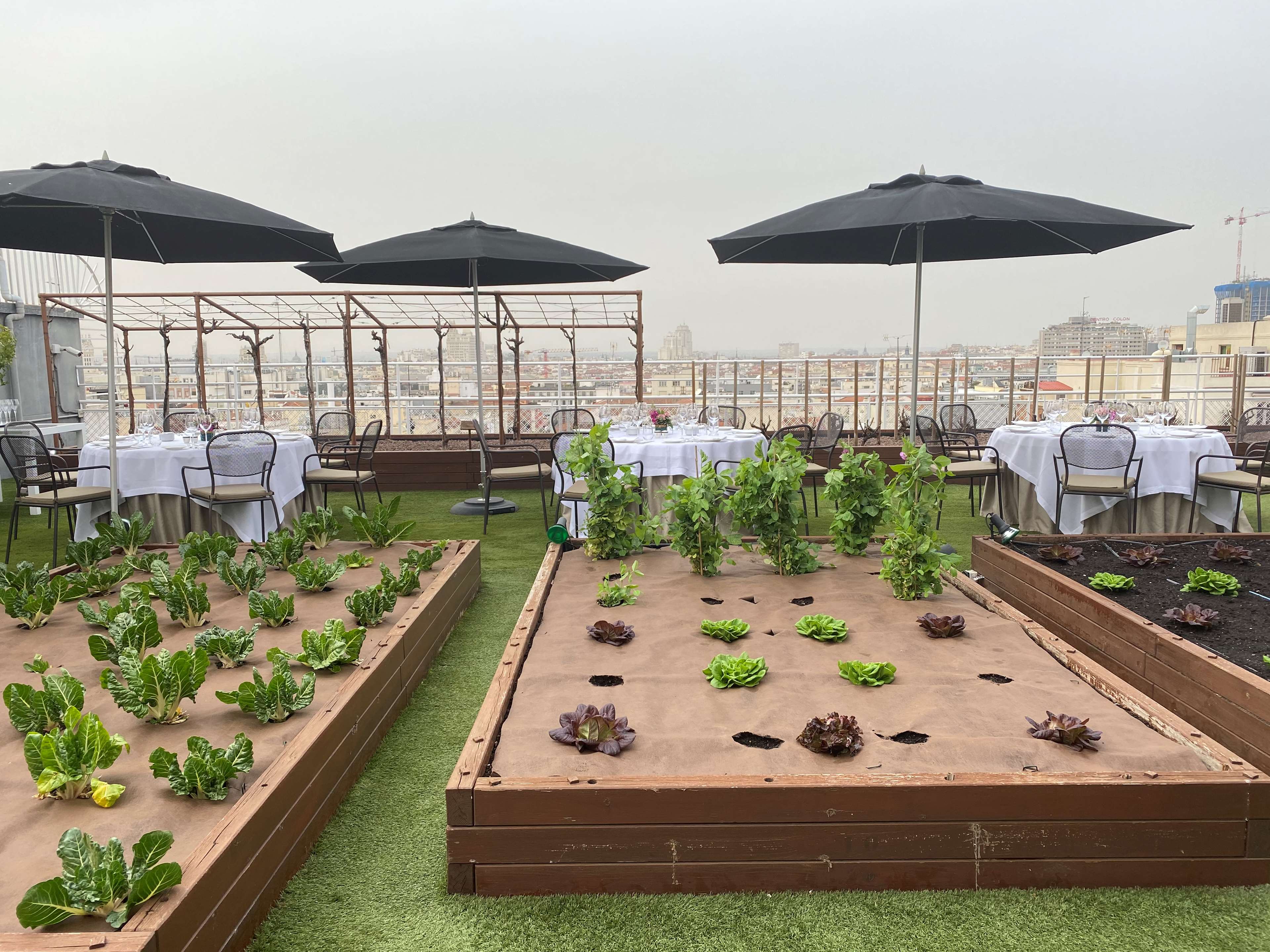 Wellington Hotel & Spa