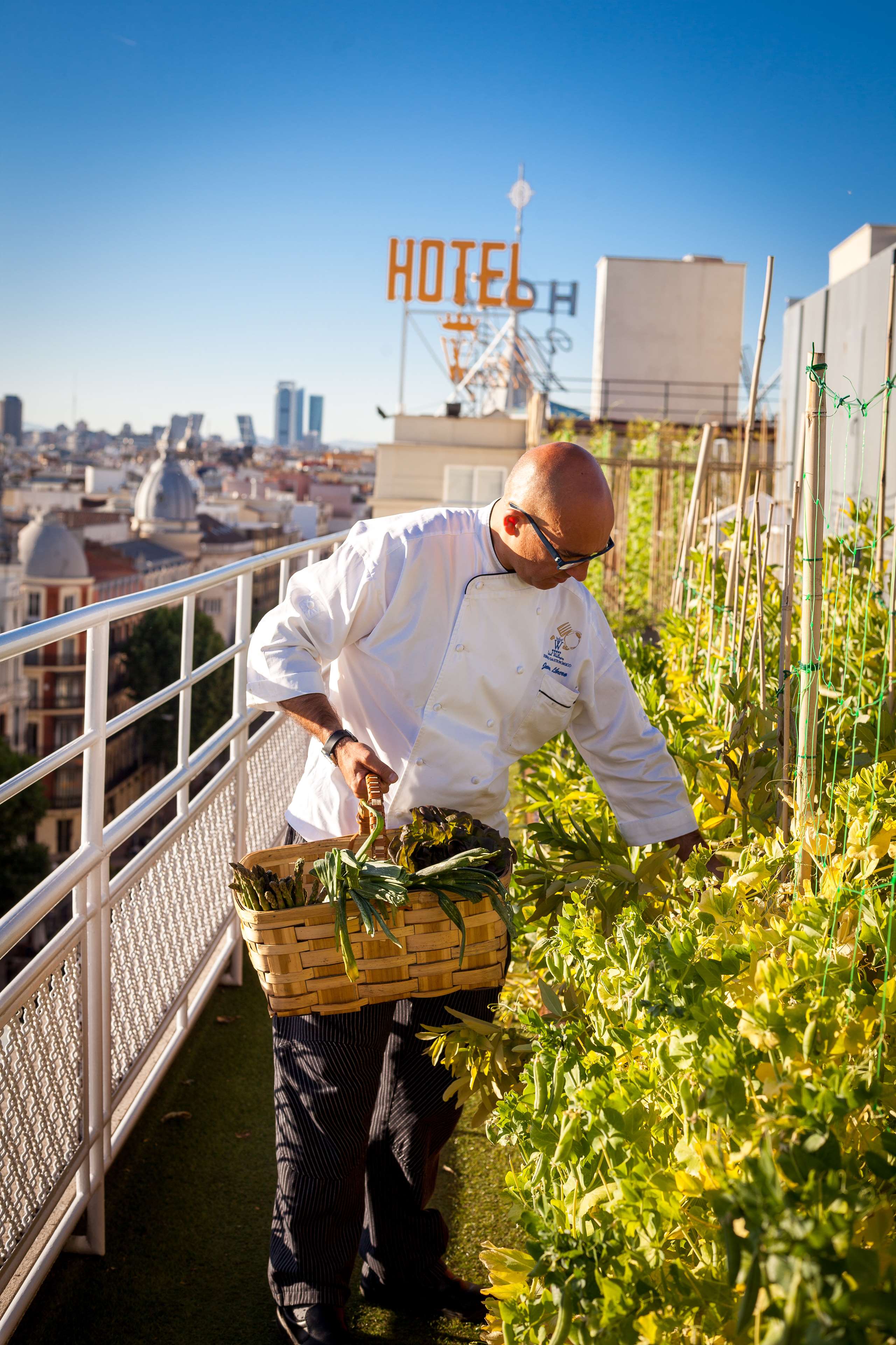 Wellington Hotel & Spa