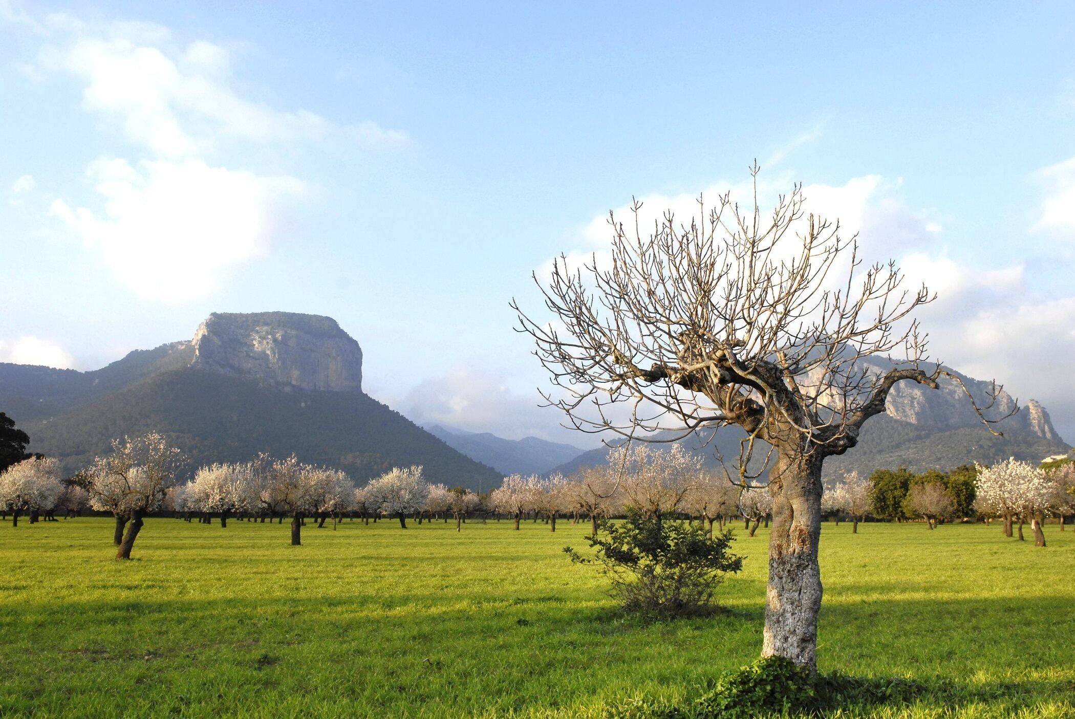 Alaró Natura Rural Suites