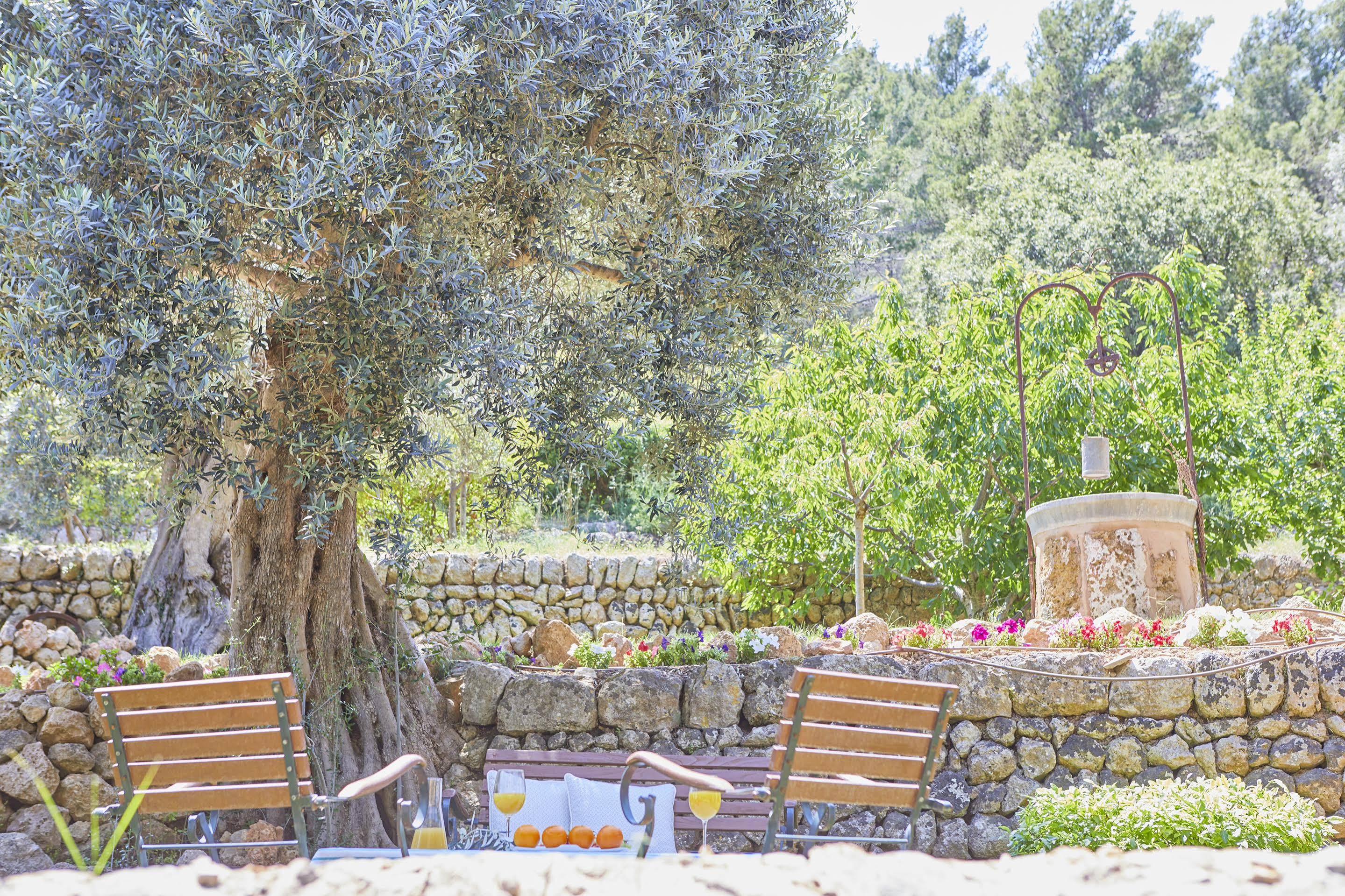 Hotel Rural S'Olivaret