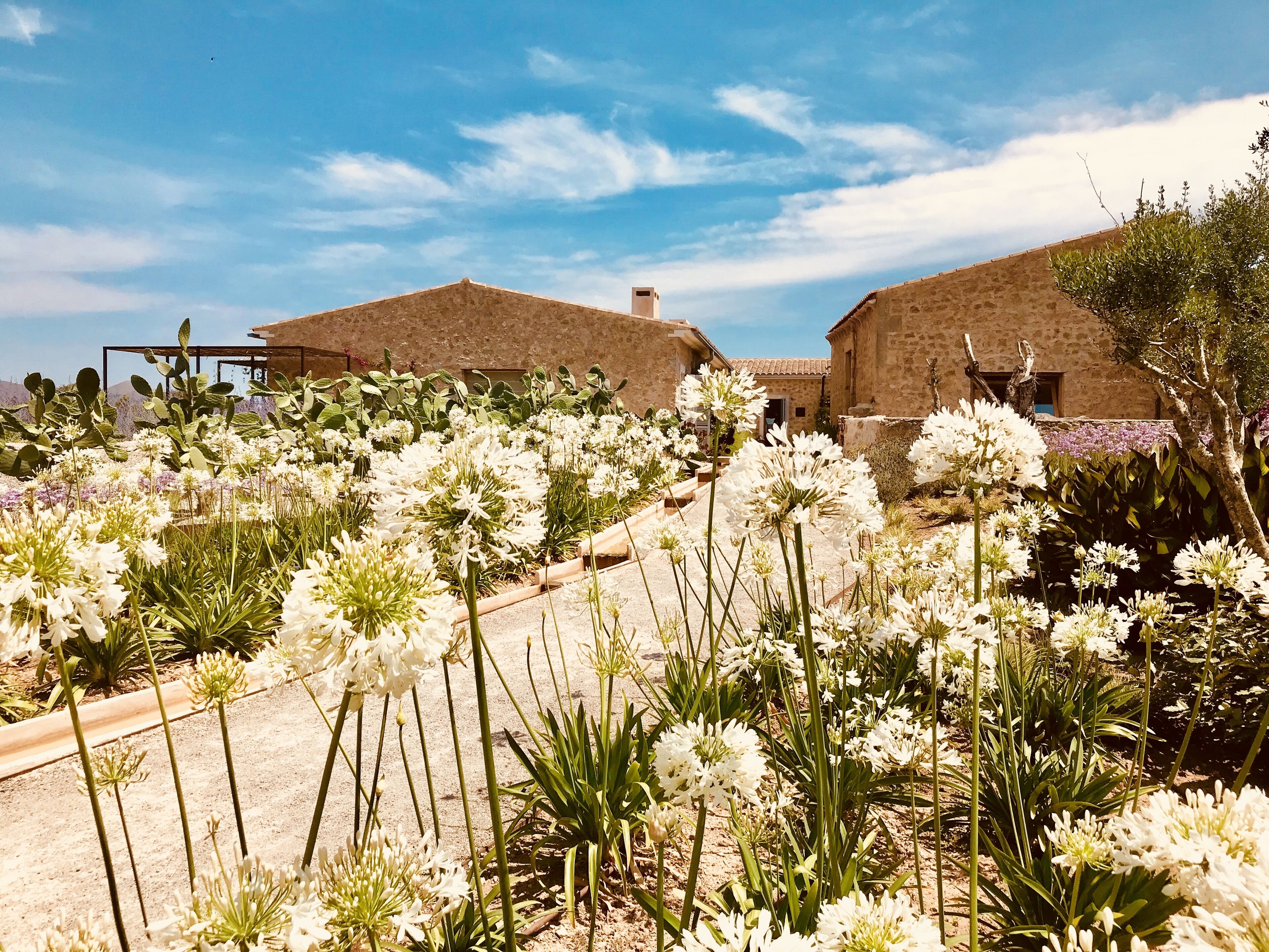 S'Estelrica Finca Hotel