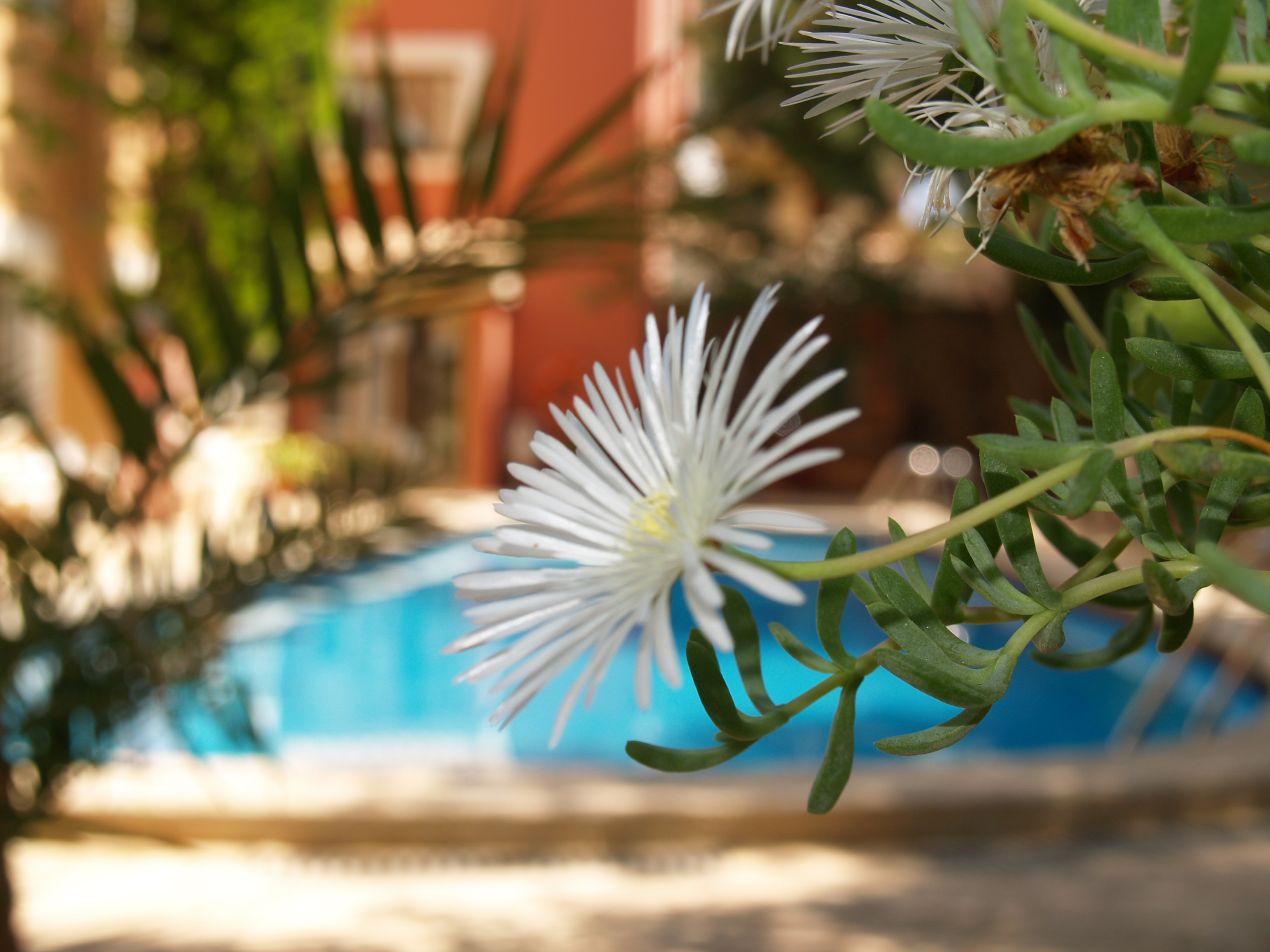 Hotel Sa Coma