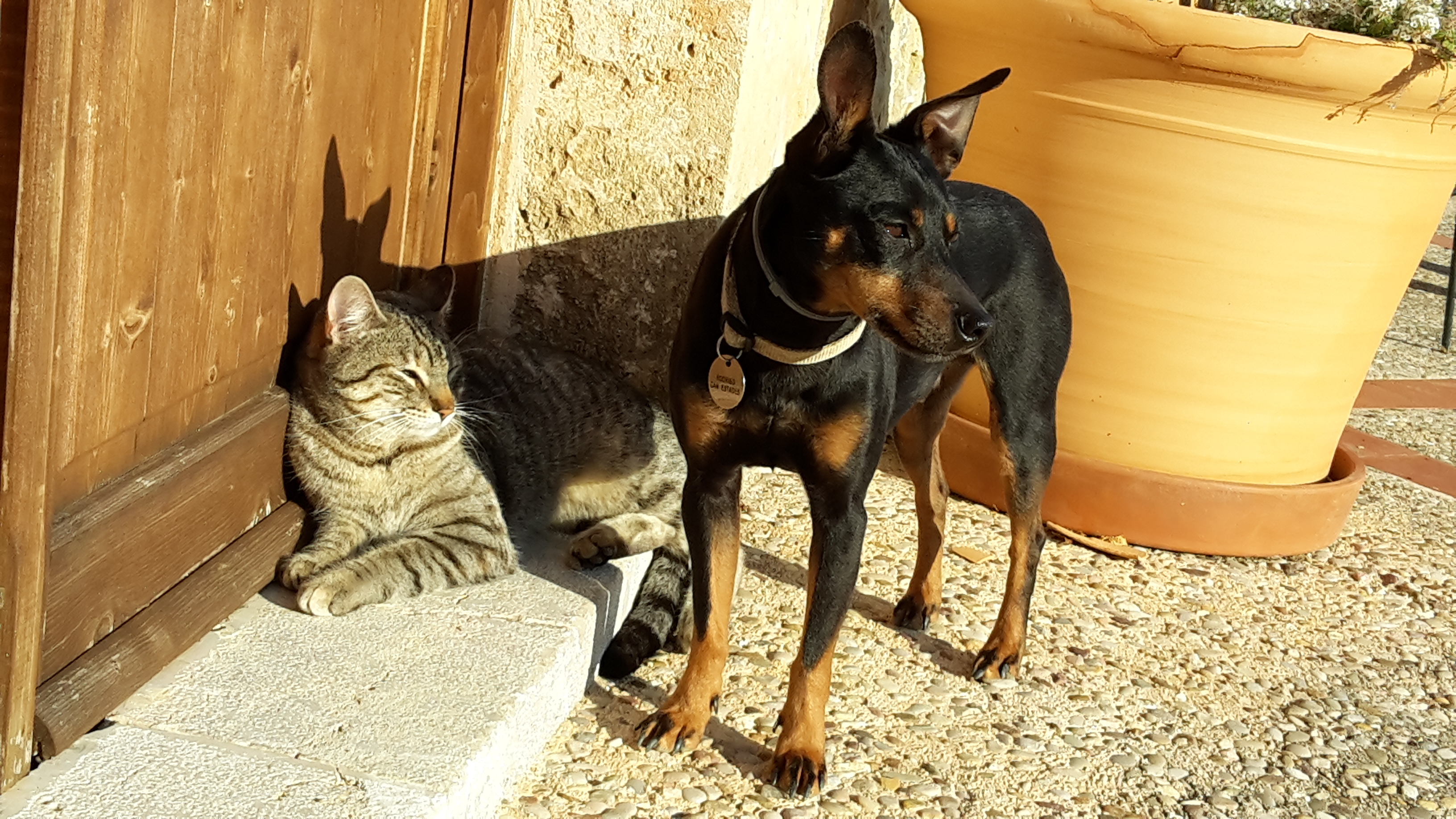 Finca Hotel Can Estades