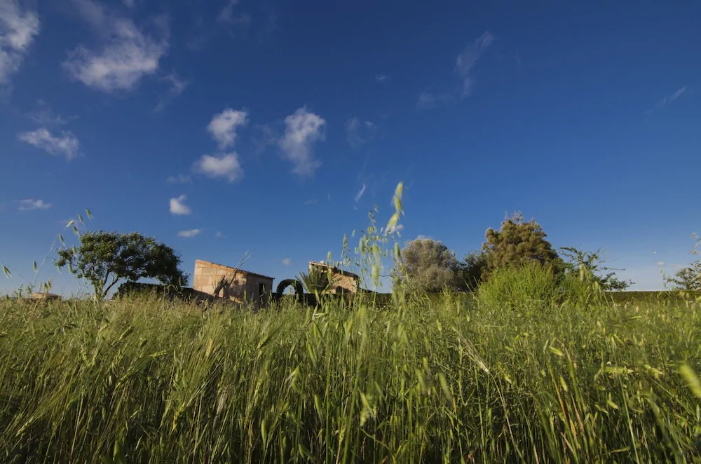 Son Coves, Casa Mallorquina cerca de Es Trenc