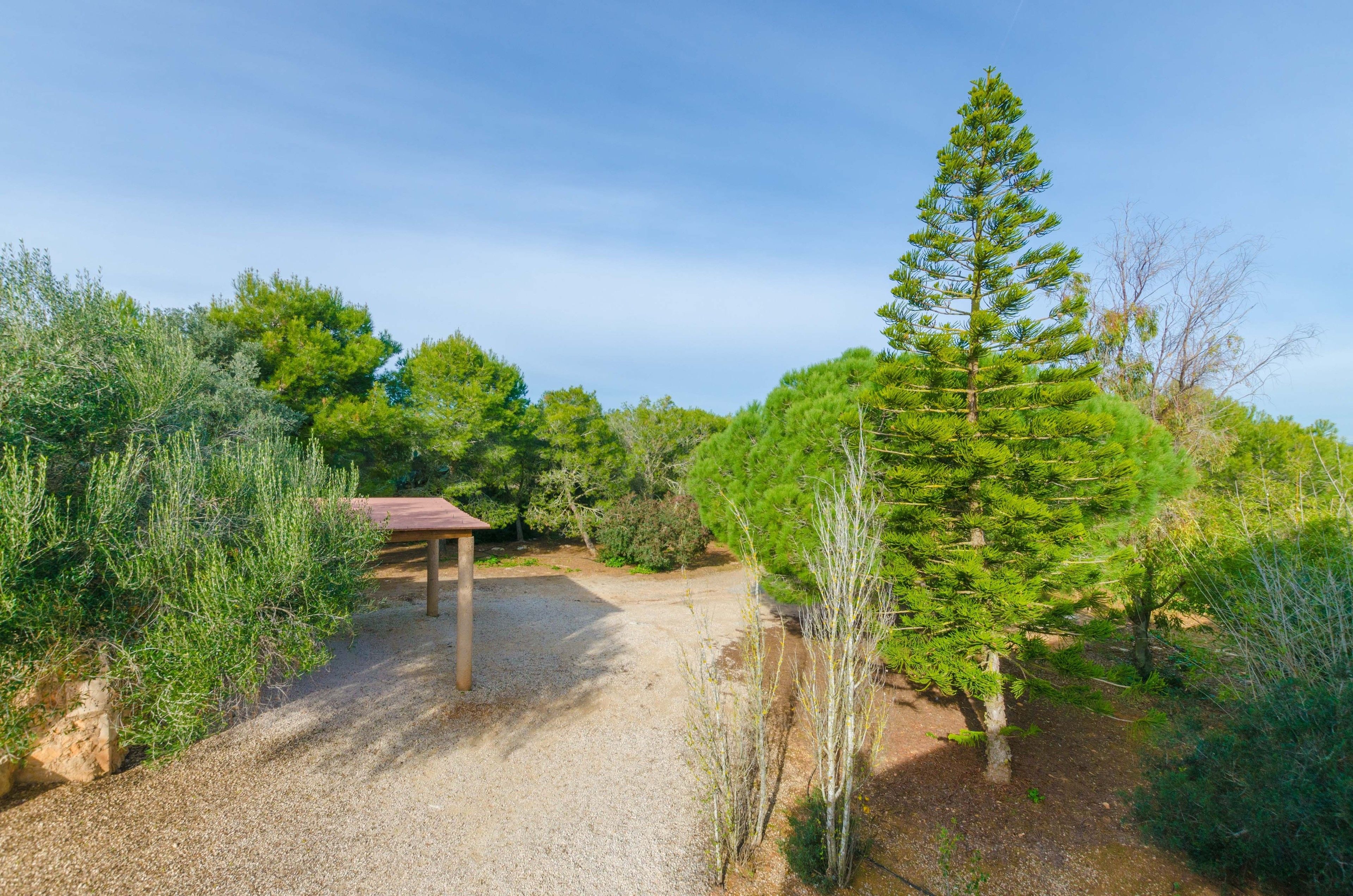 Finca Es Figueral