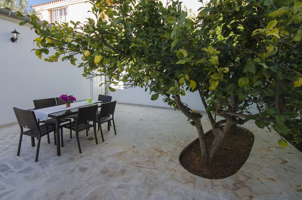 Villa Fuster
